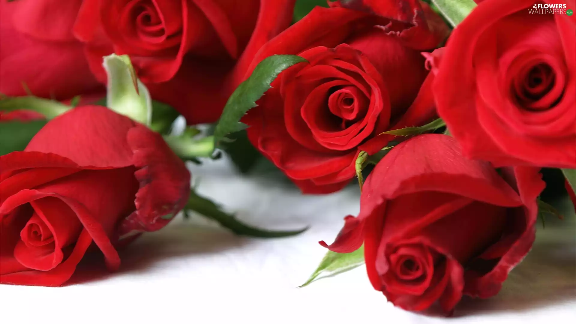 rouge, bouquet, red