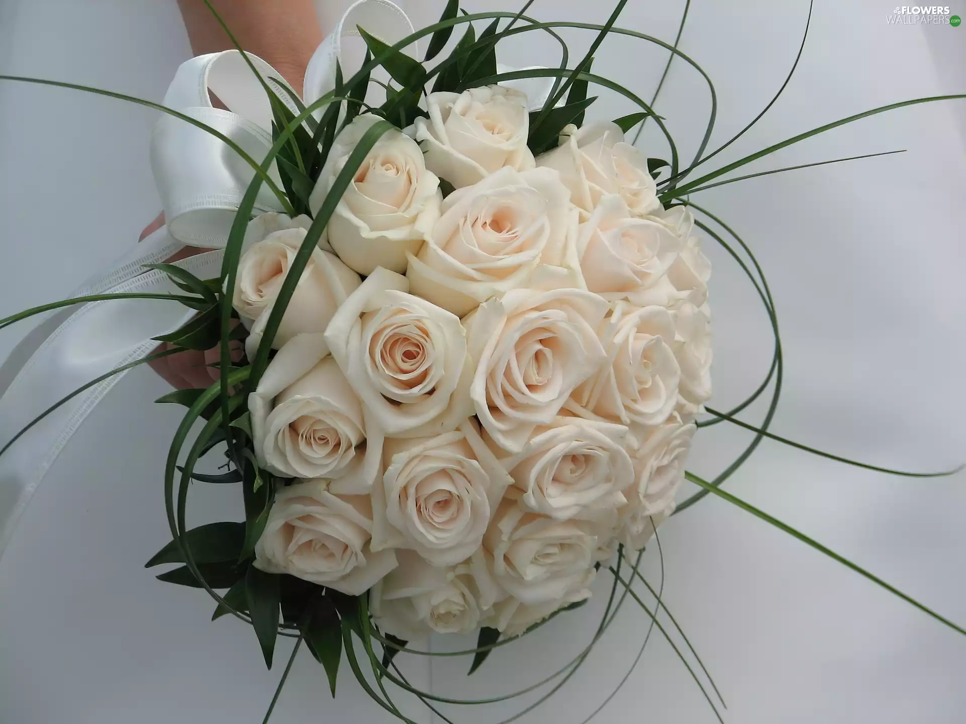 wedding, white, rouge, bunch