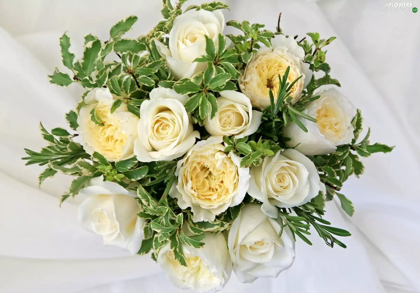 rouge, bouquet, white