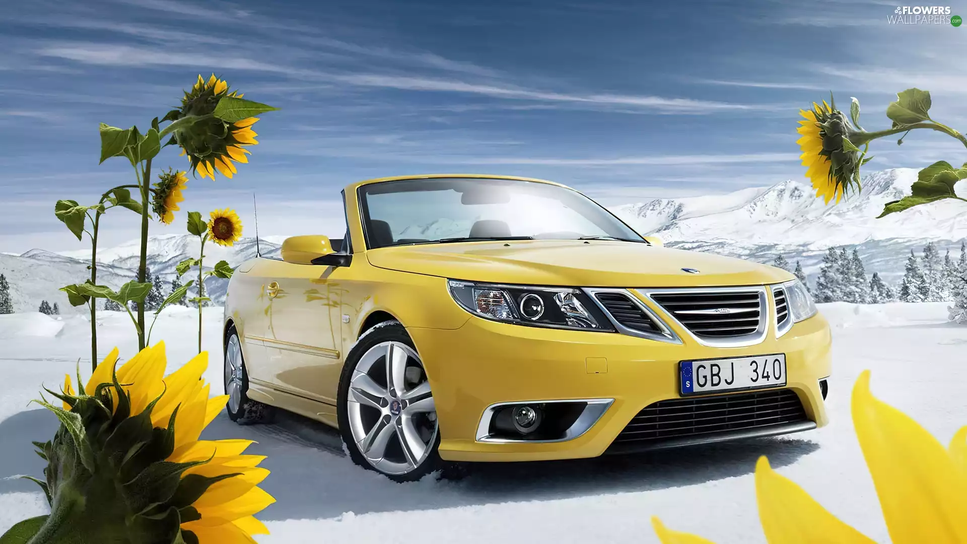 Yellow, Saab, Nice sunflowers, Automobile