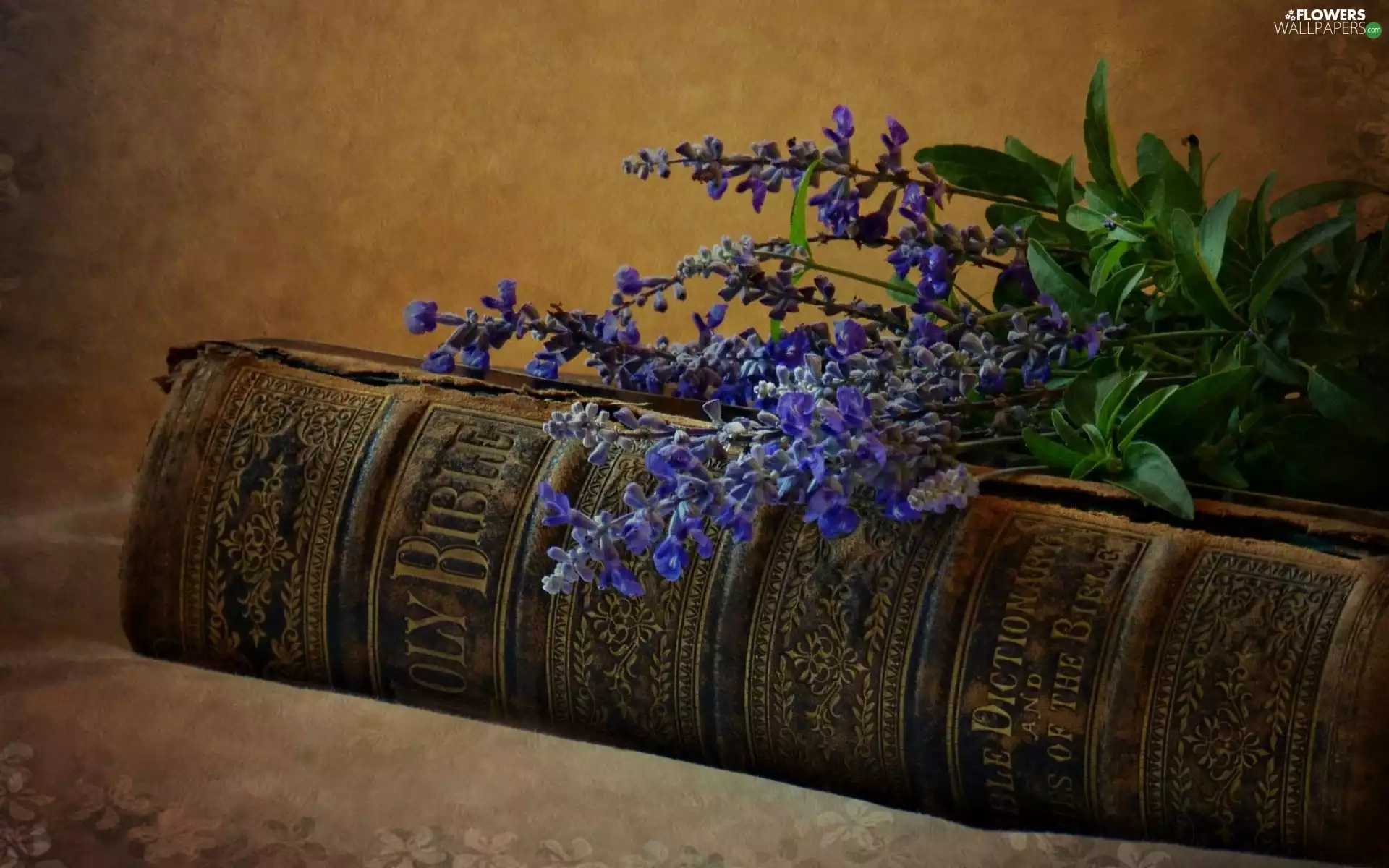 Flowers, Sage, Bible, Blue, Book