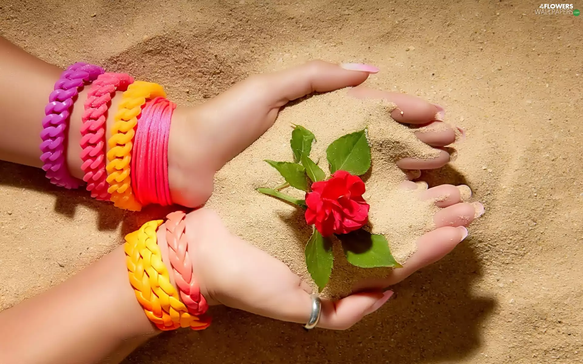 Beaches, Sand, hands, rose, Women
