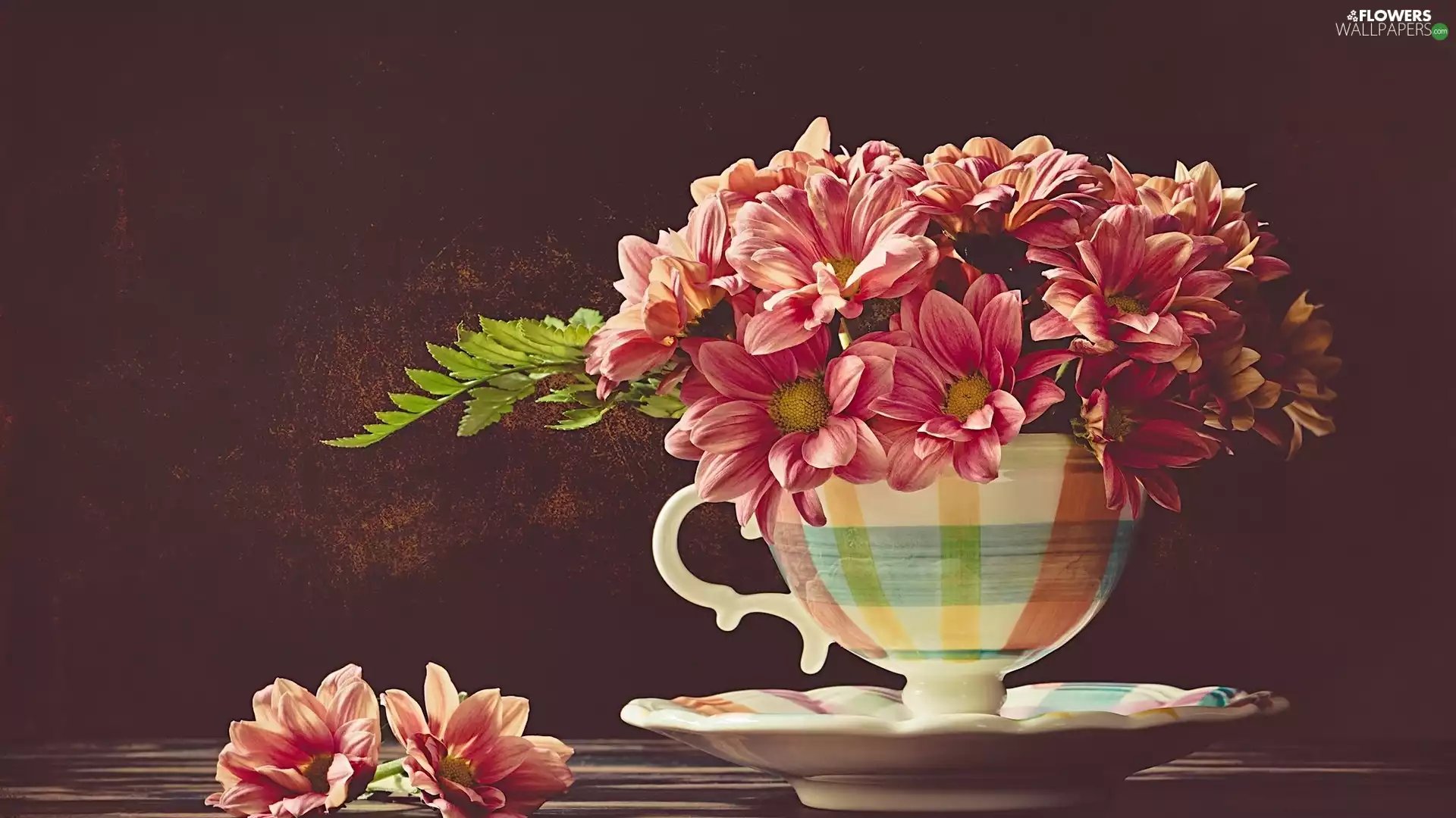 Flowers, decoration, cup, saucer, Chrysanthemums, Vintage