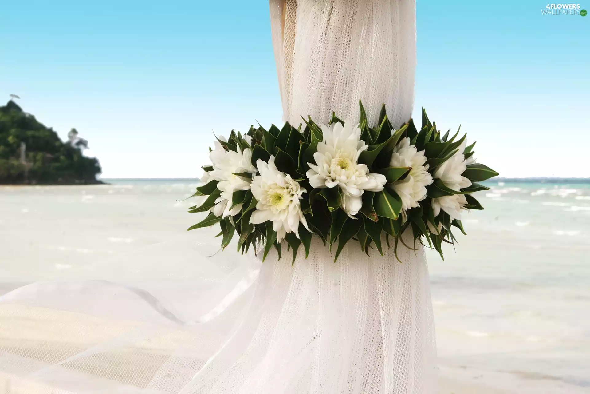 sea, White, Flowers
