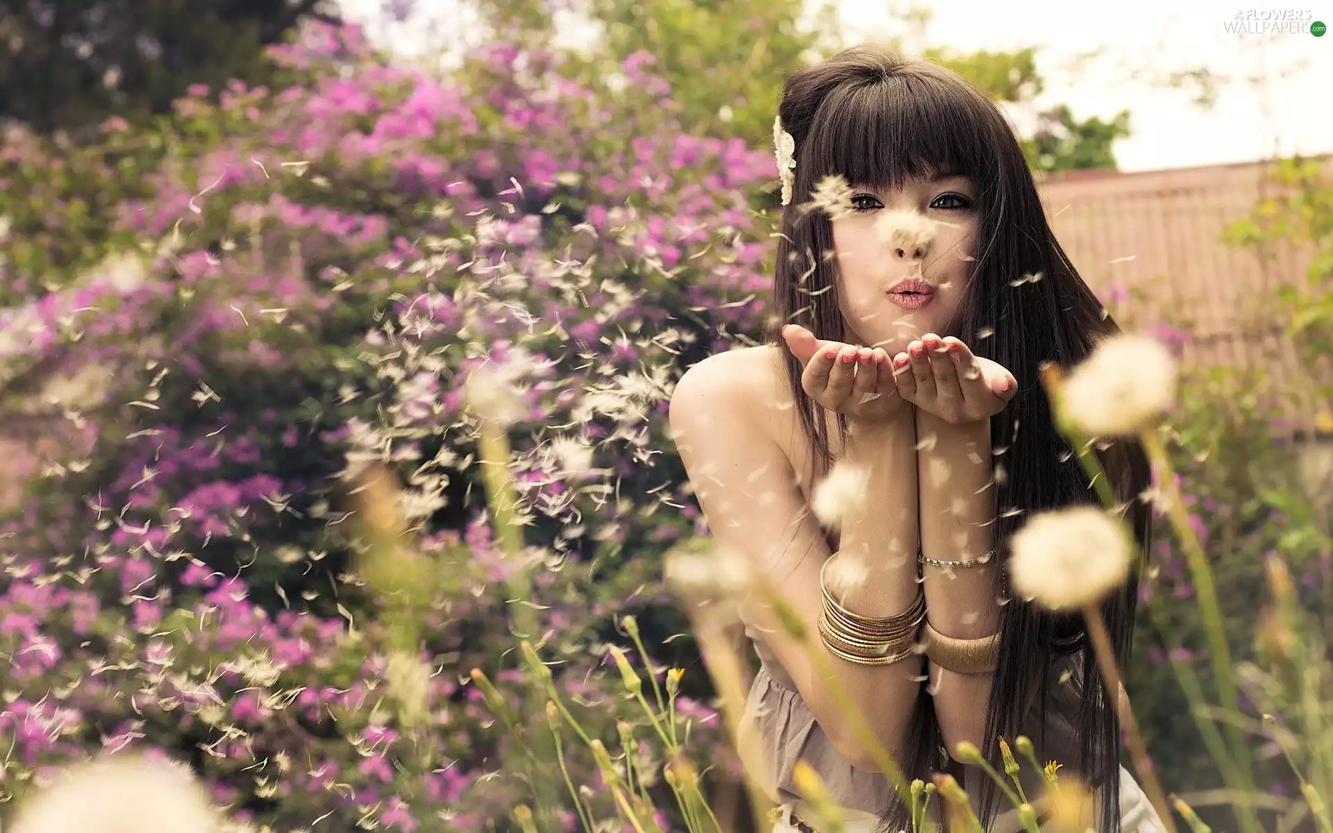 puffball, Seeds, hands, Flowers, Women