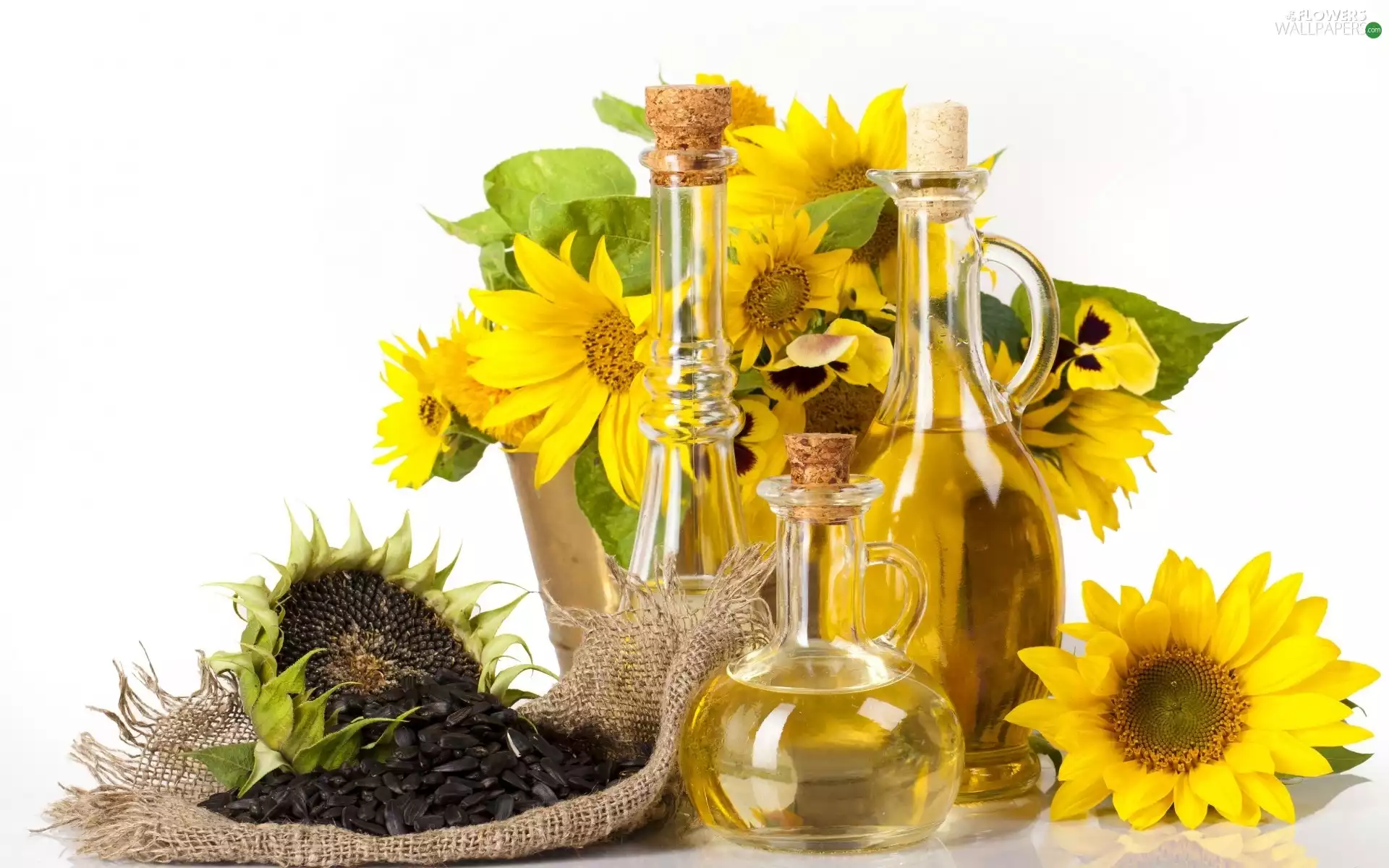 seeds, composition, Nice sunflowers, oil, gold