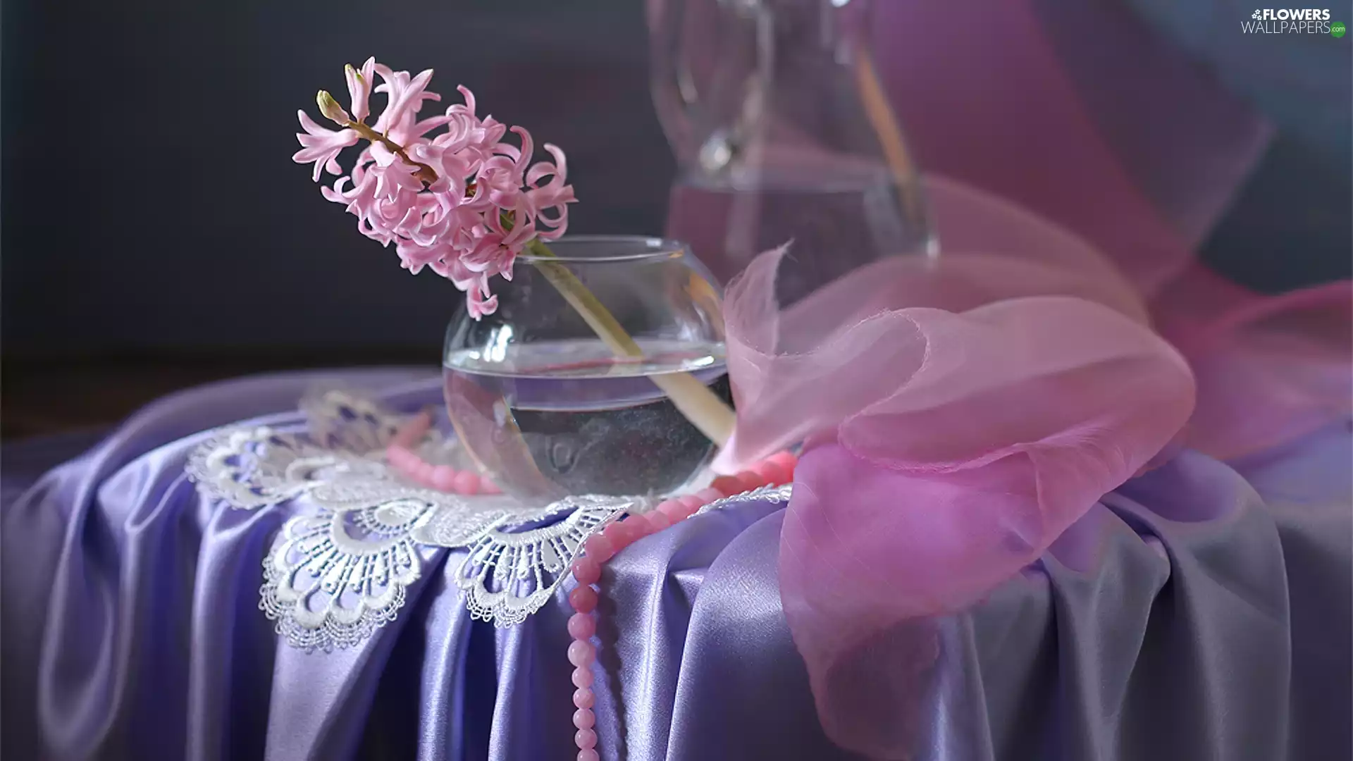 shawl, bowl, hyacinth, lace, Pink