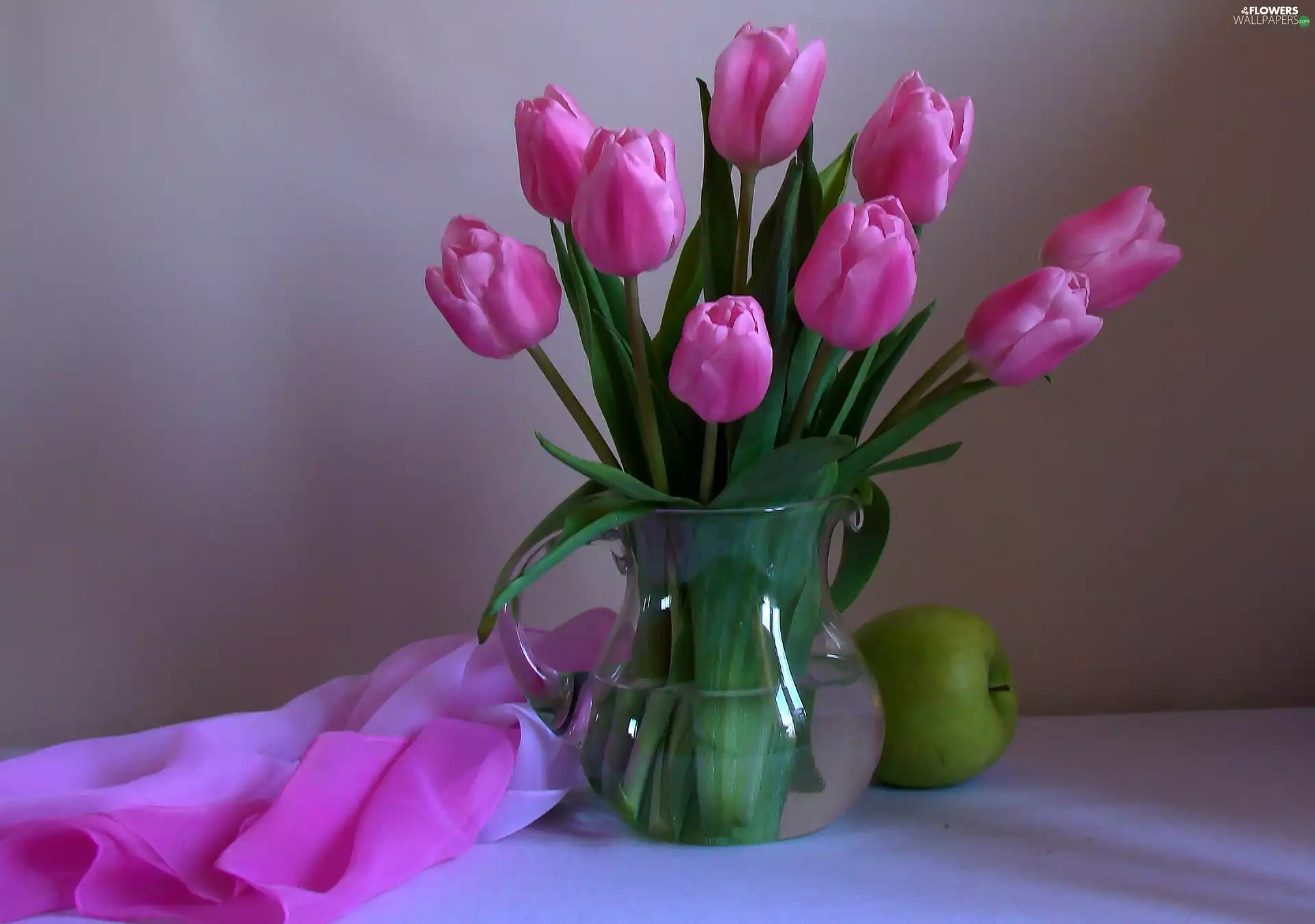 Pink, Apple, shawl, Tulips