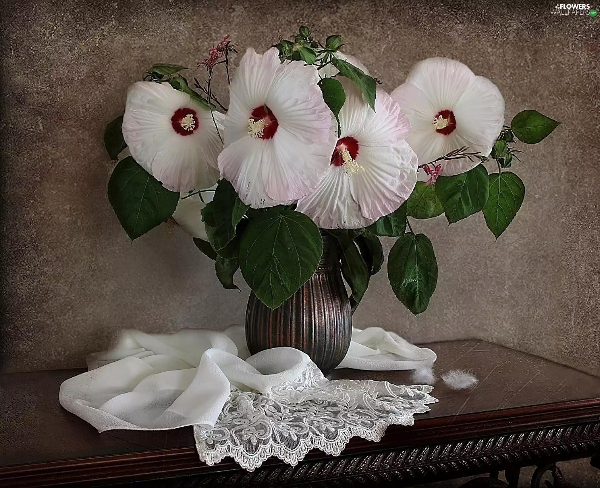 table, White, hibiscus, shawl