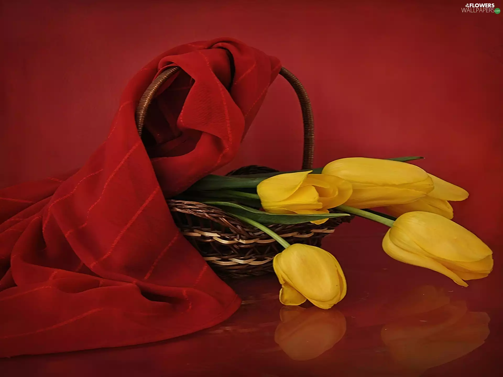 Red, shawl, Tulips, basket, Yellow