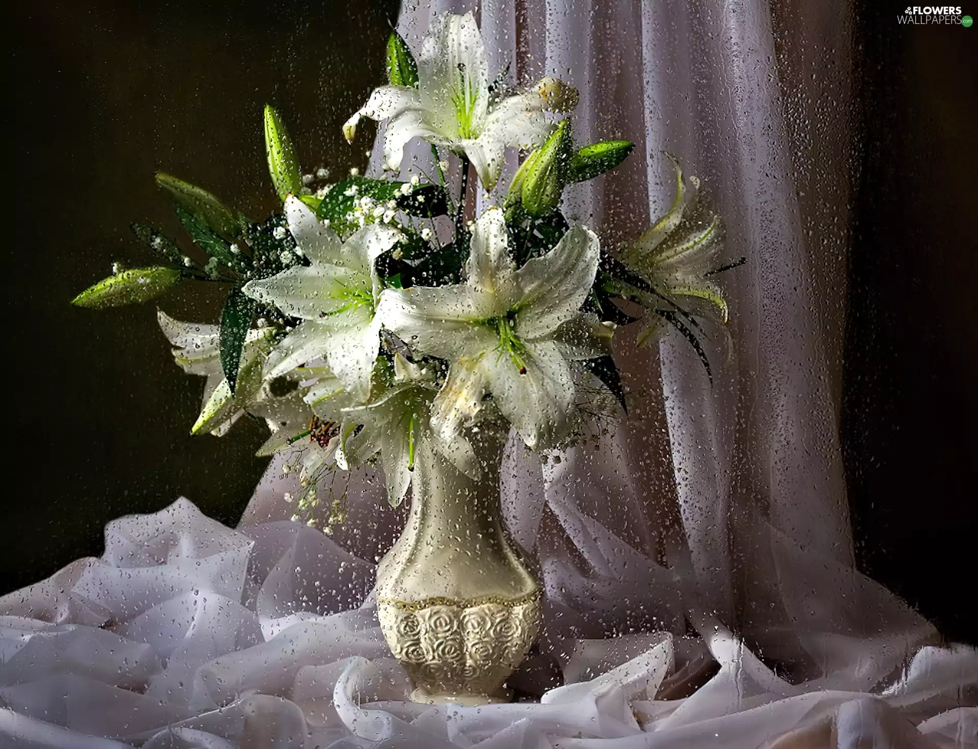lilies, Vase, water, shawl, drops, White