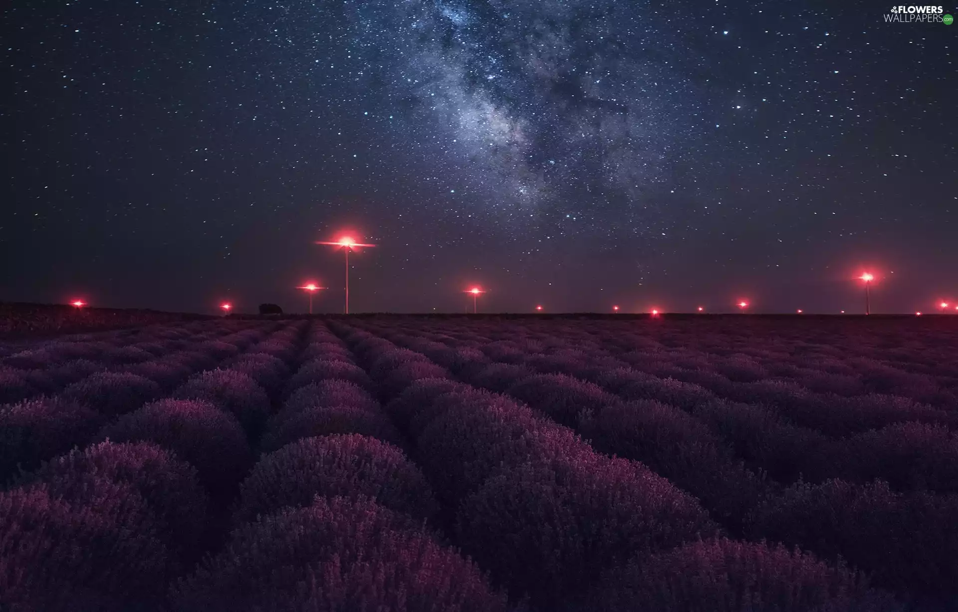 lavender, star, lanterns, Sky