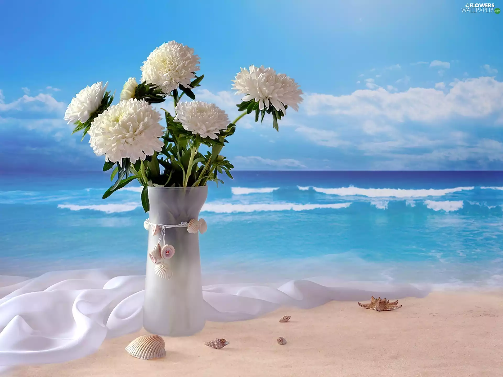 sea, Sky, Peonies, Beaches, White