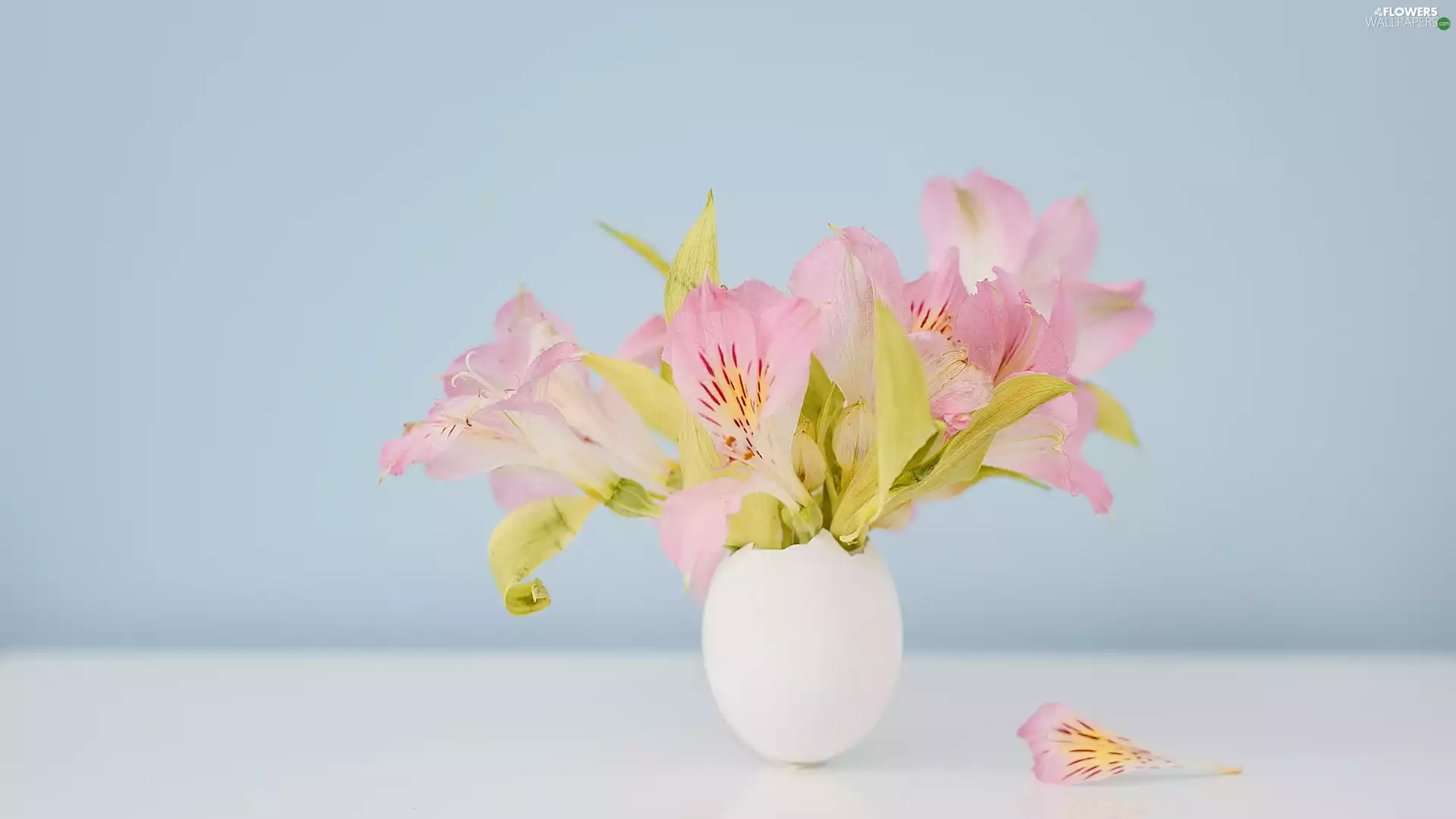 Pink, small bunch, vase, Alstroemeria