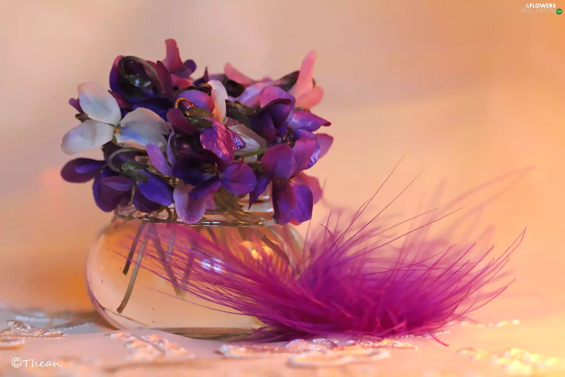 feather, fragrant violets, small bunch