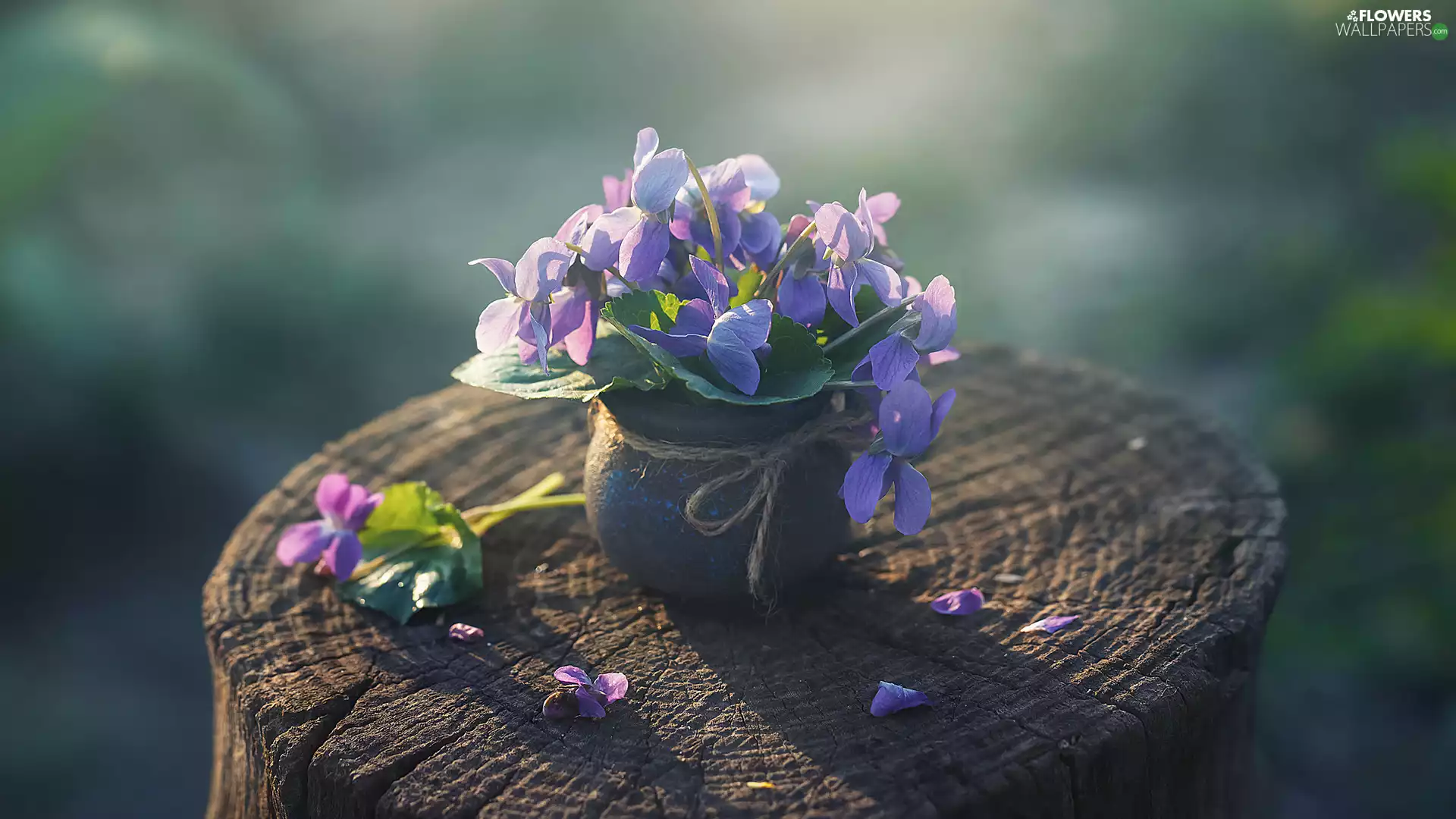 vase, fragrant violets, snag