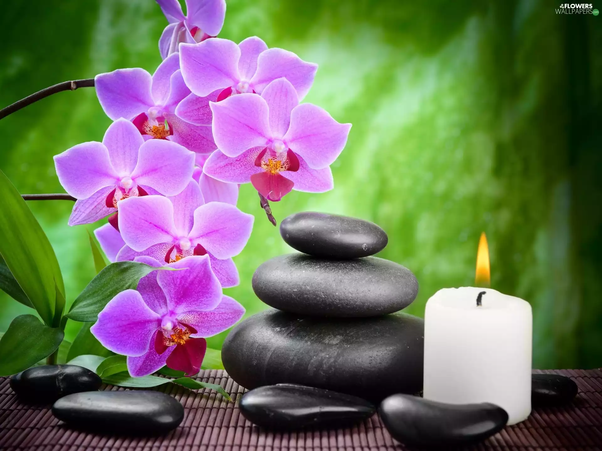 pebbles, Flowers, composition, Spa, candle, orchid