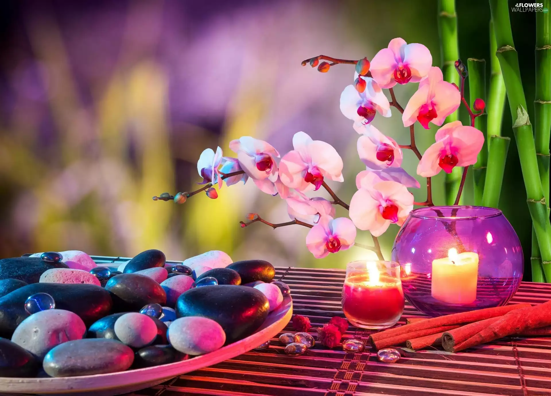 package, Spa, orchids, Stones, Flowers