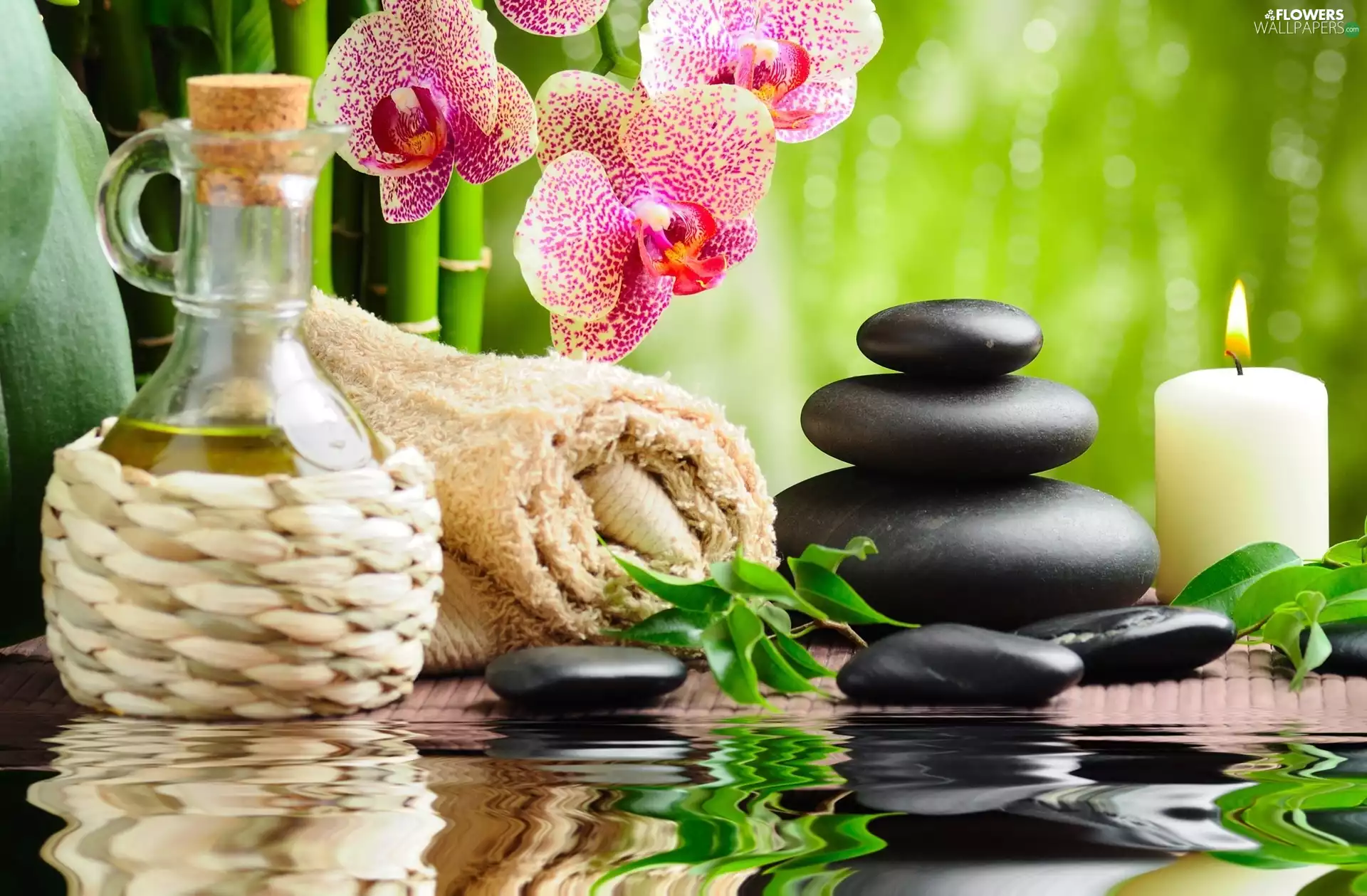 Stones, composition, package, Spa, candle, orchids