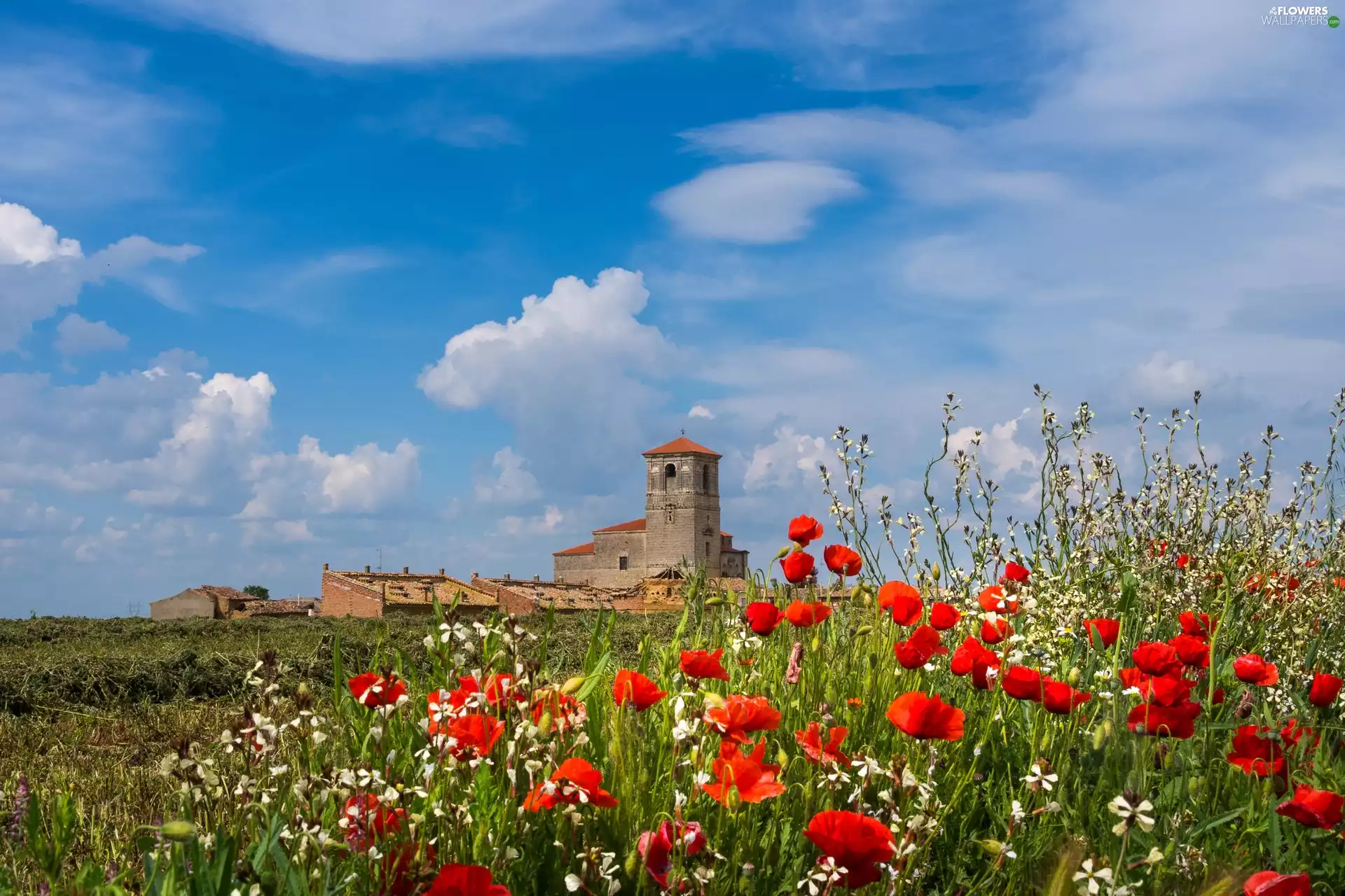 Church, Meadow, papavers, Spain