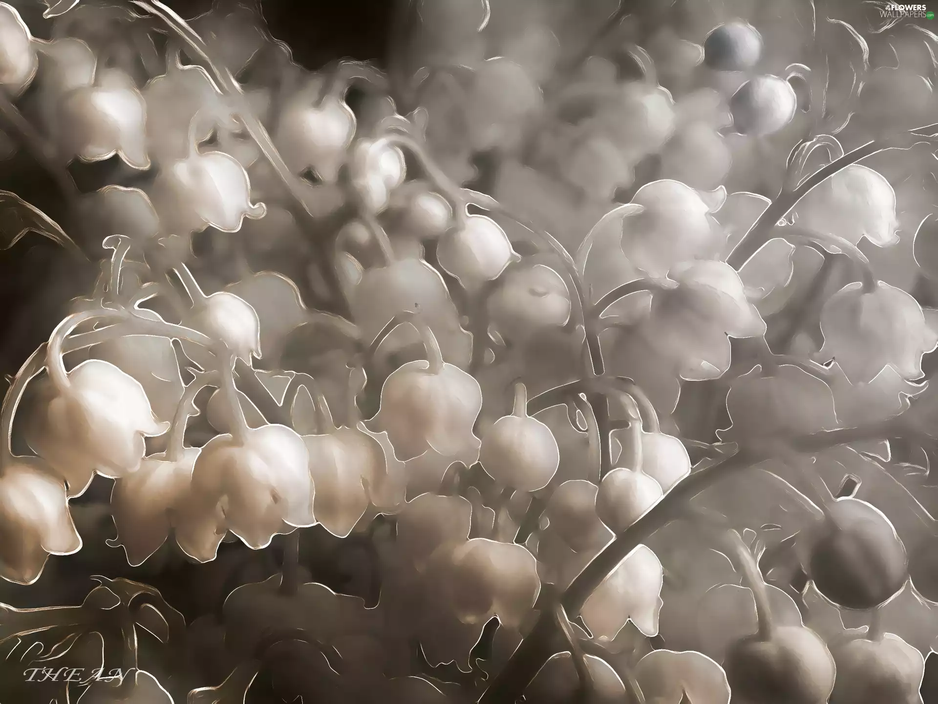 Spring, lilies, Flowers