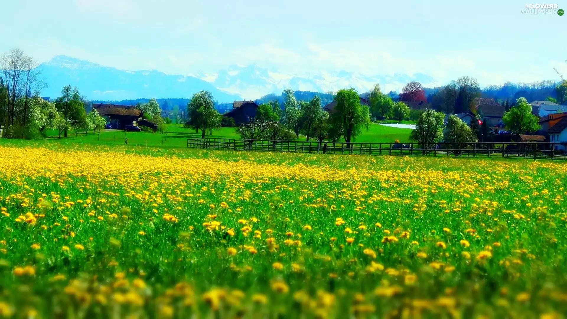 Houses, Spring, puffball, Mountains, medows