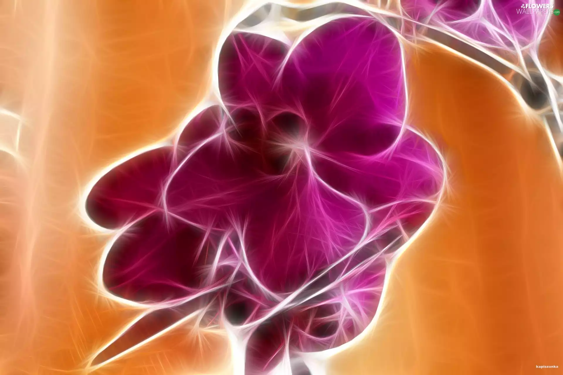 stalk, Violet, orchid
