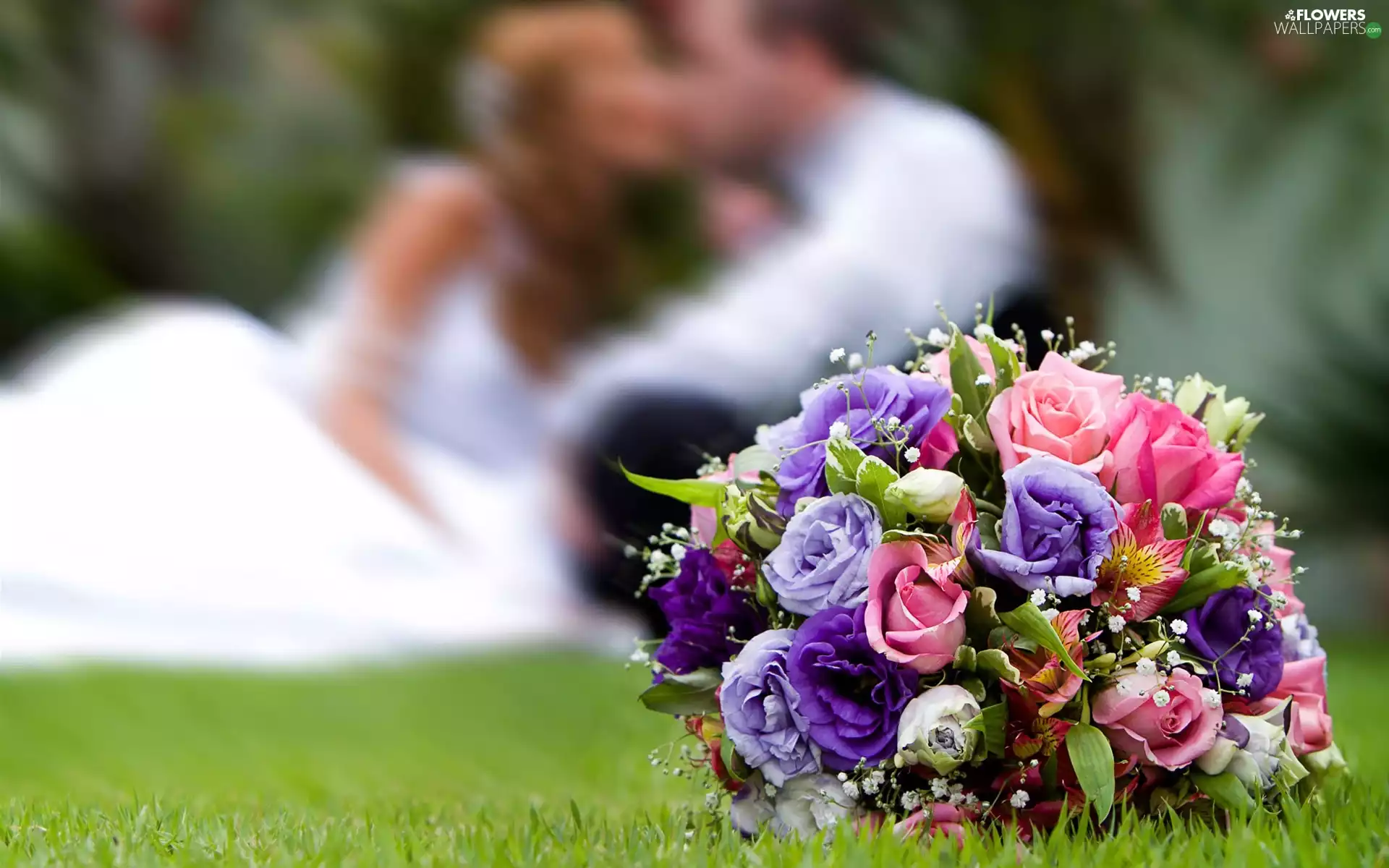 bouquet, young, Steam, flowers