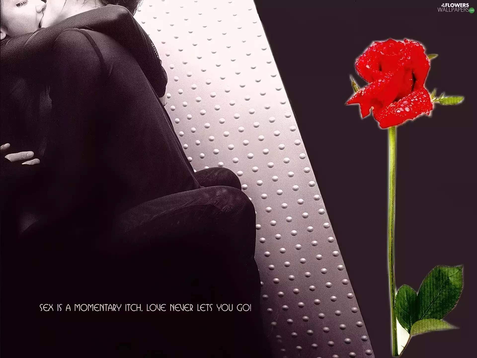 Love, kisses, rose, Steam