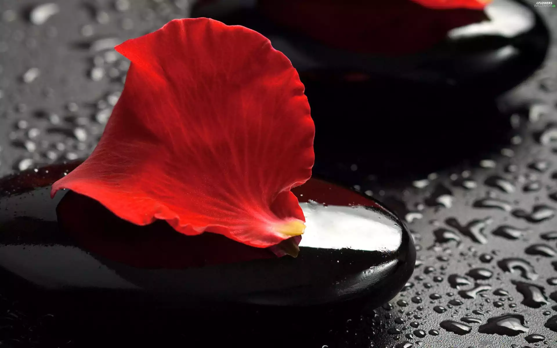 Black, flakes, rouge, Stones