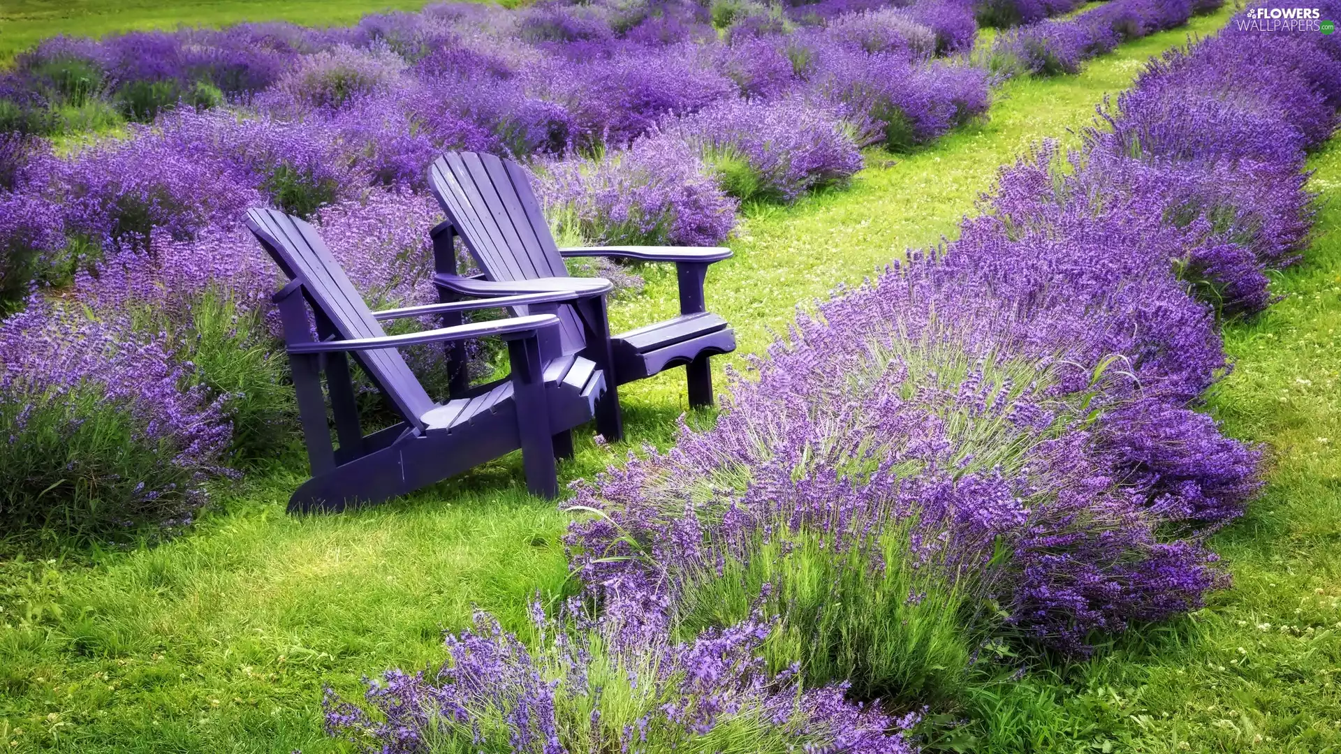 Stool, lavender