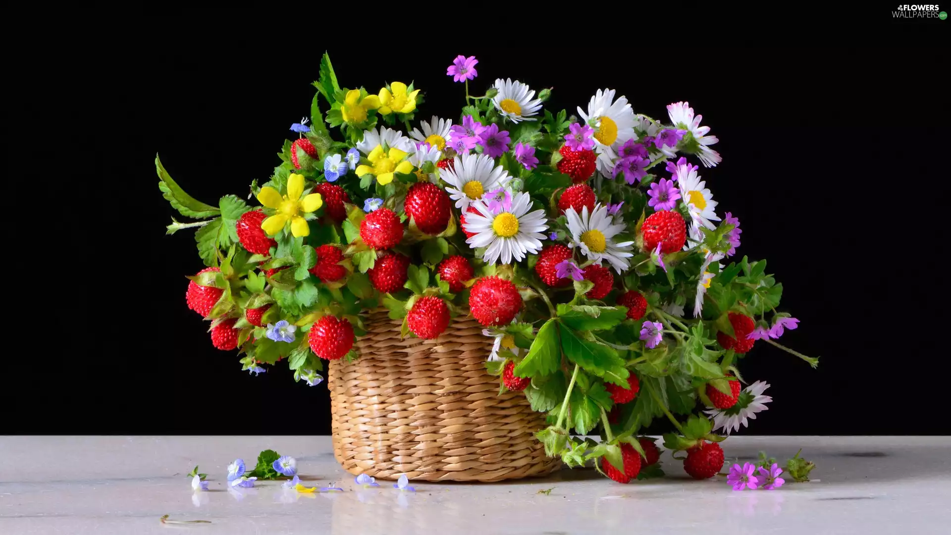 Strawberries, basket, daisies