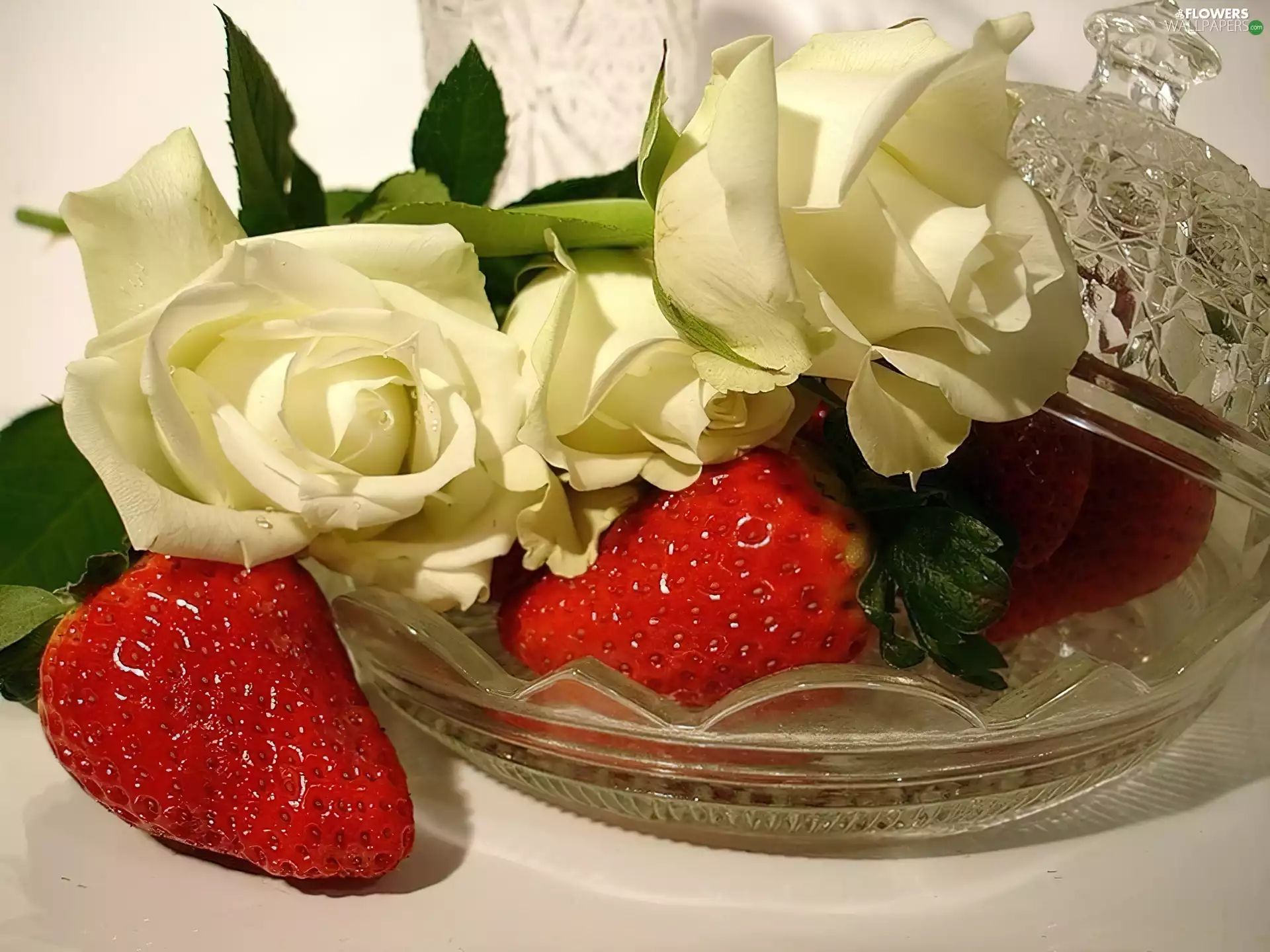strawberries, White, roses