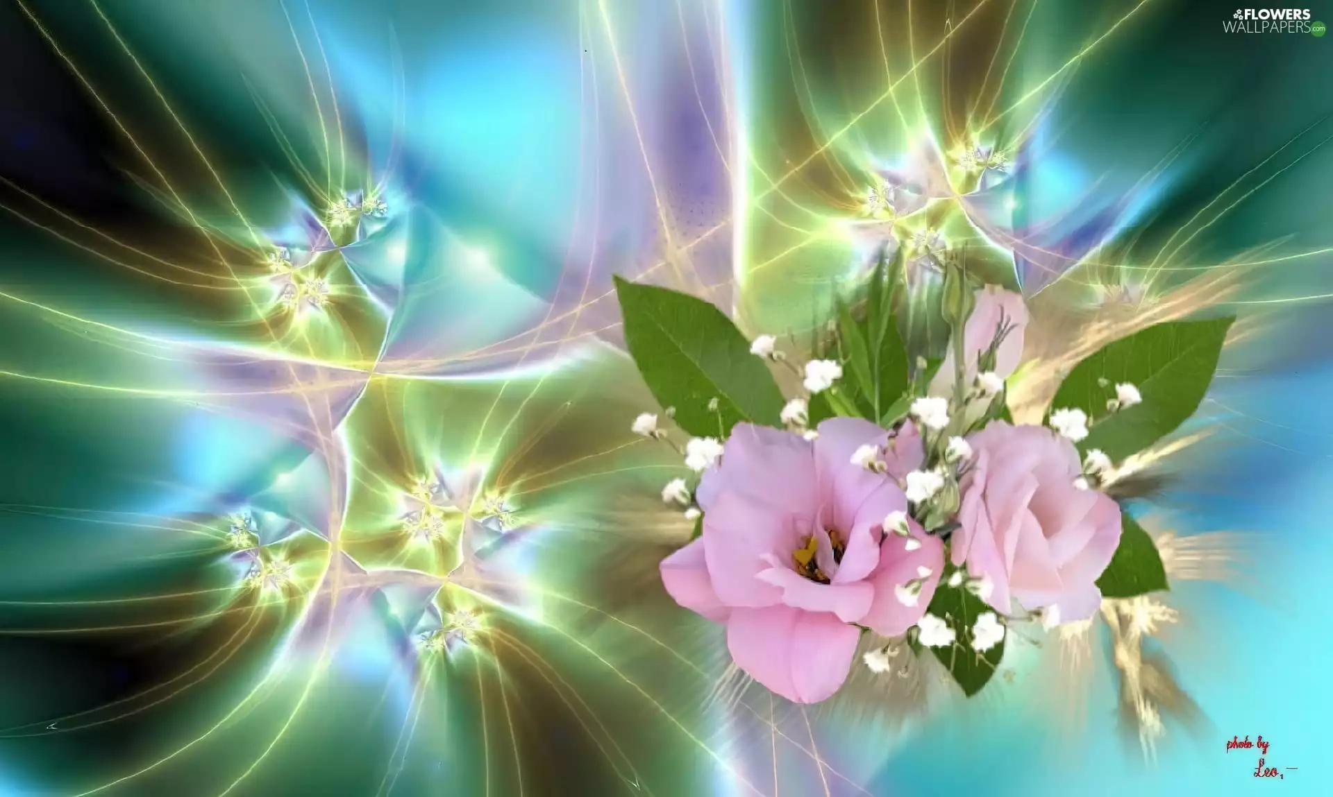 streaks, Flowers, bouquet