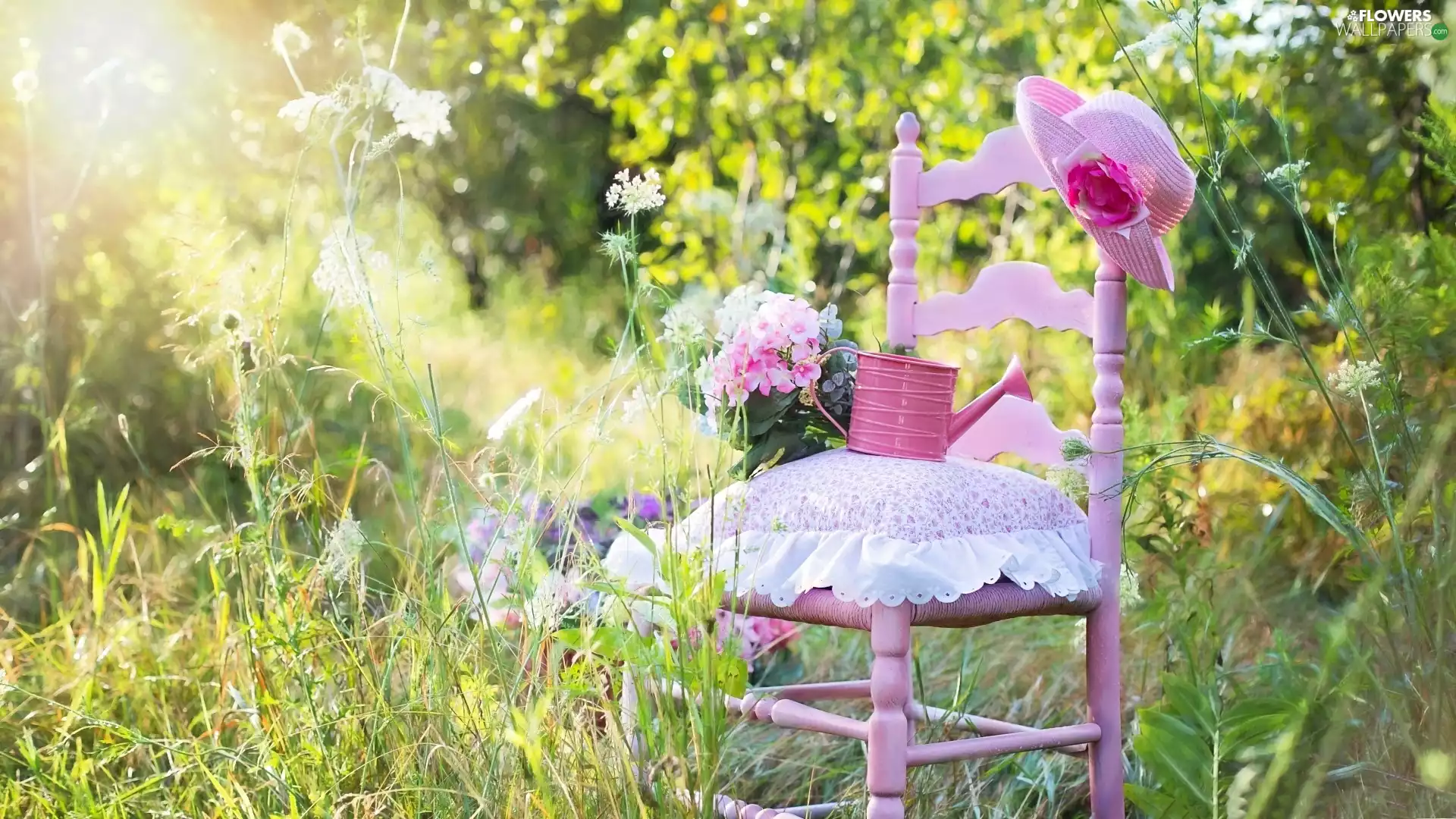watering can, grass, geranium, Hat, Chair, Flowers, summer
