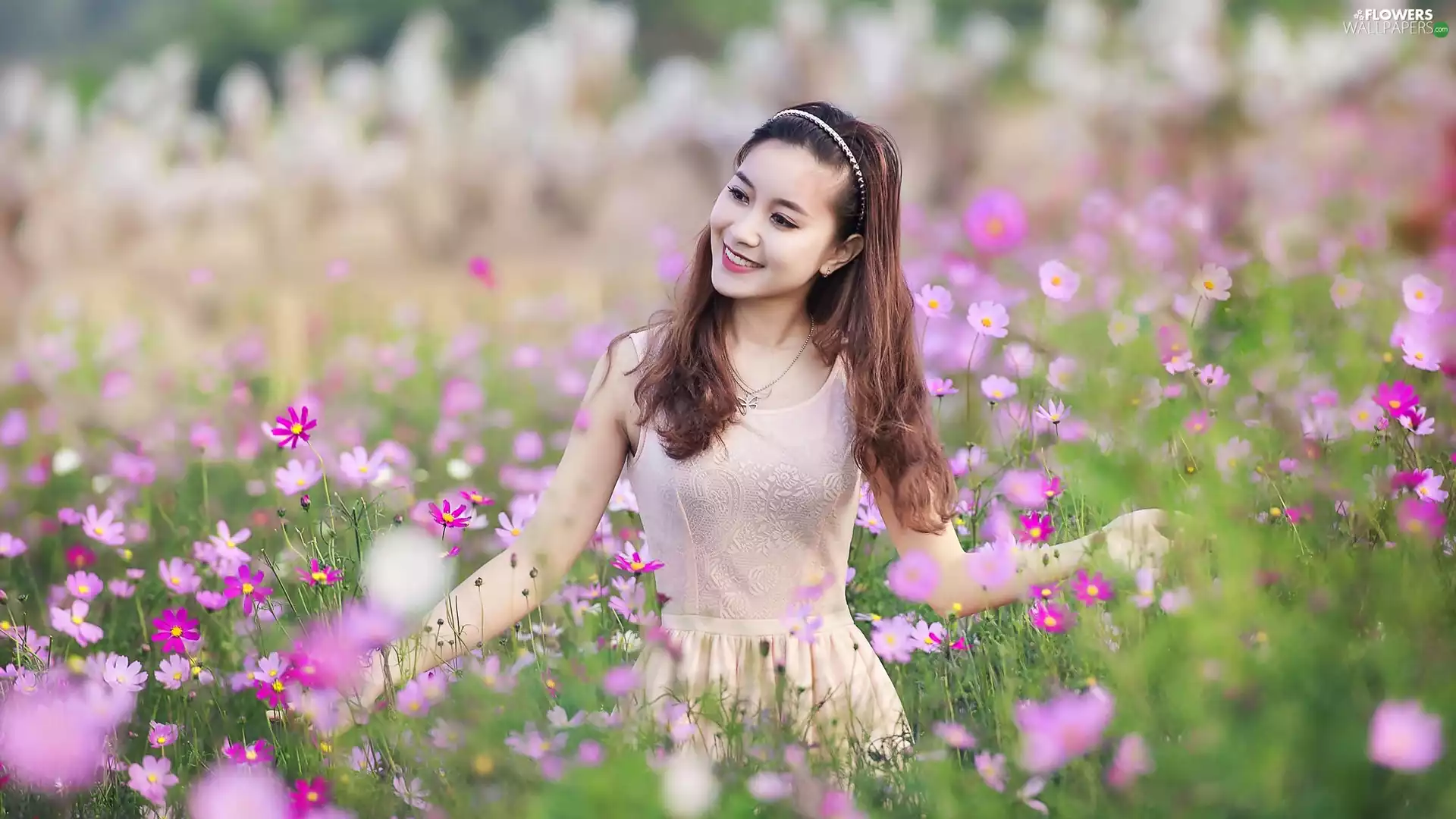 Women, Flowers, Cosmos, summer