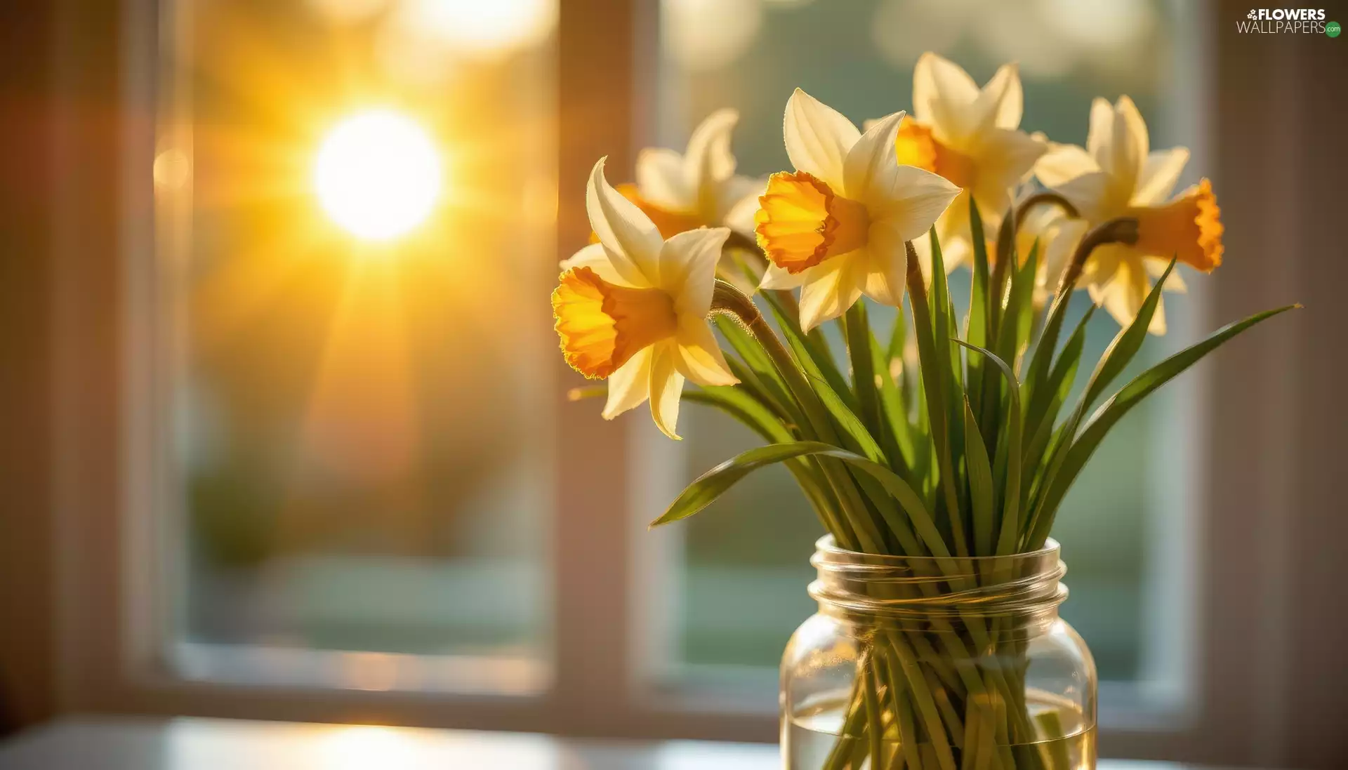 Window, sun, Jonquil, jar, bouquet