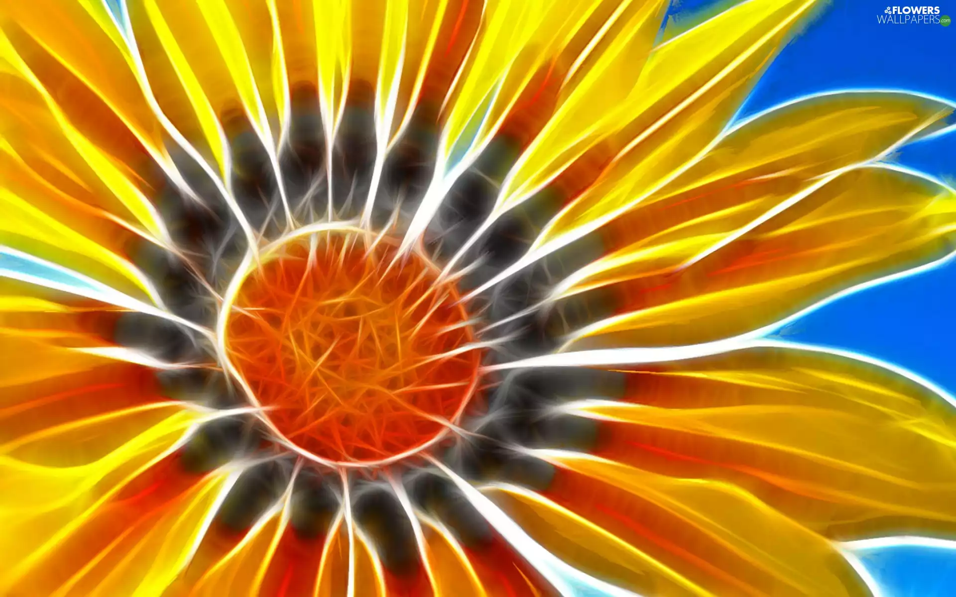 3D, Colourfull Flowers, sunflower