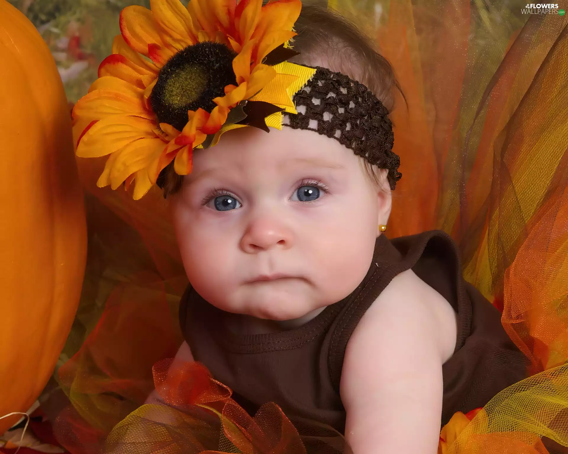 Sunflower, girl, Band