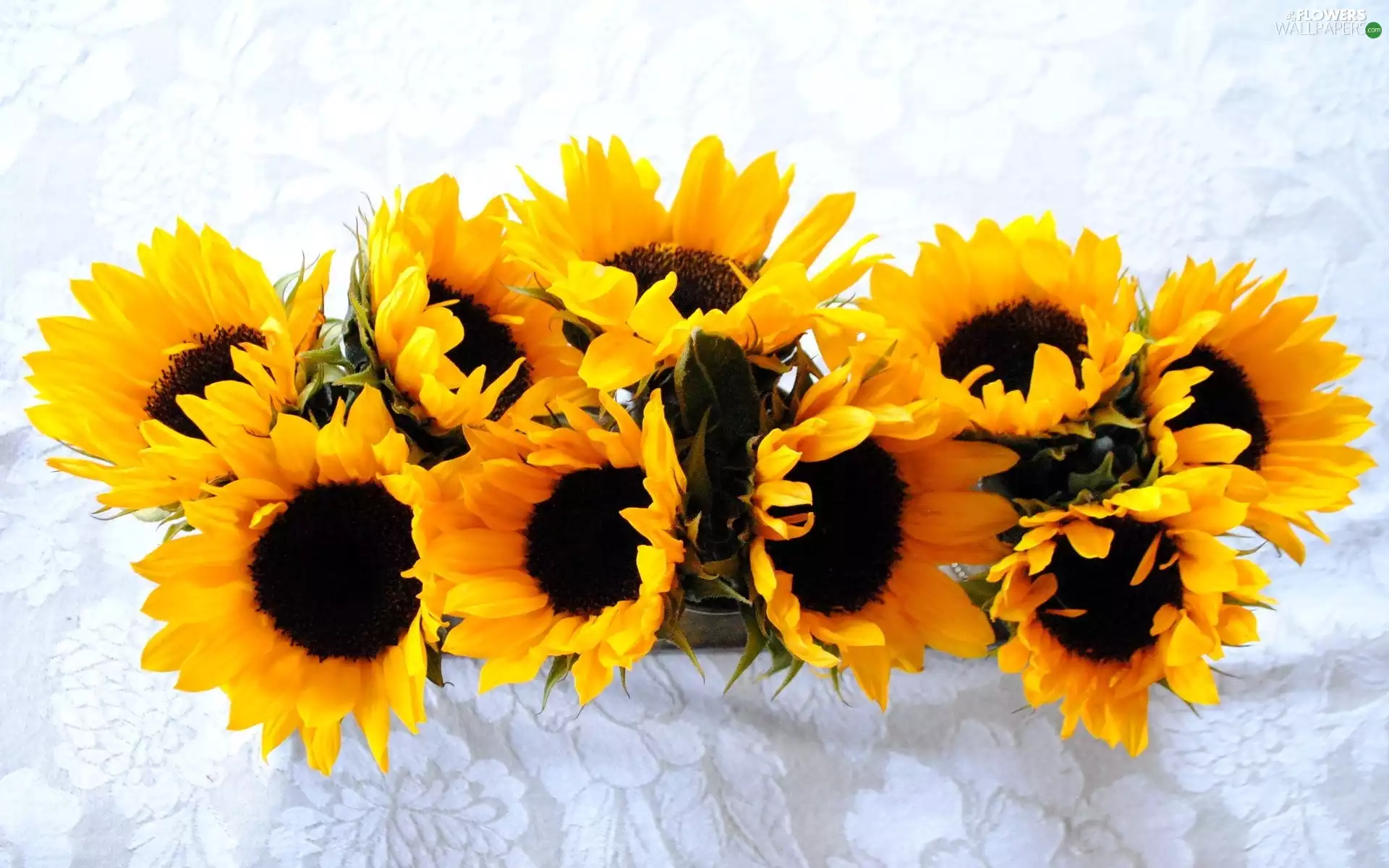 bouquet, sunflowers