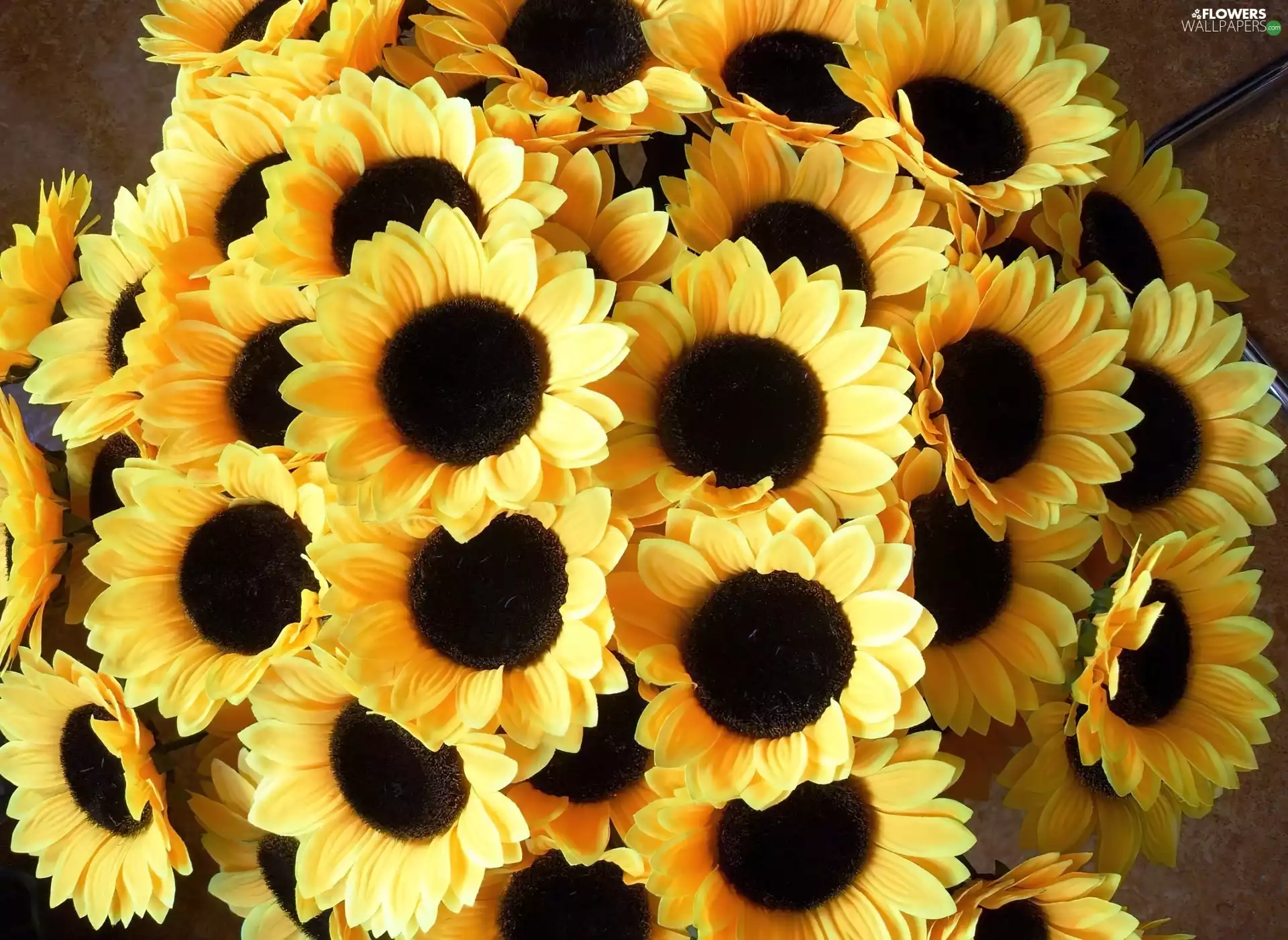 bouquet, sunflowers