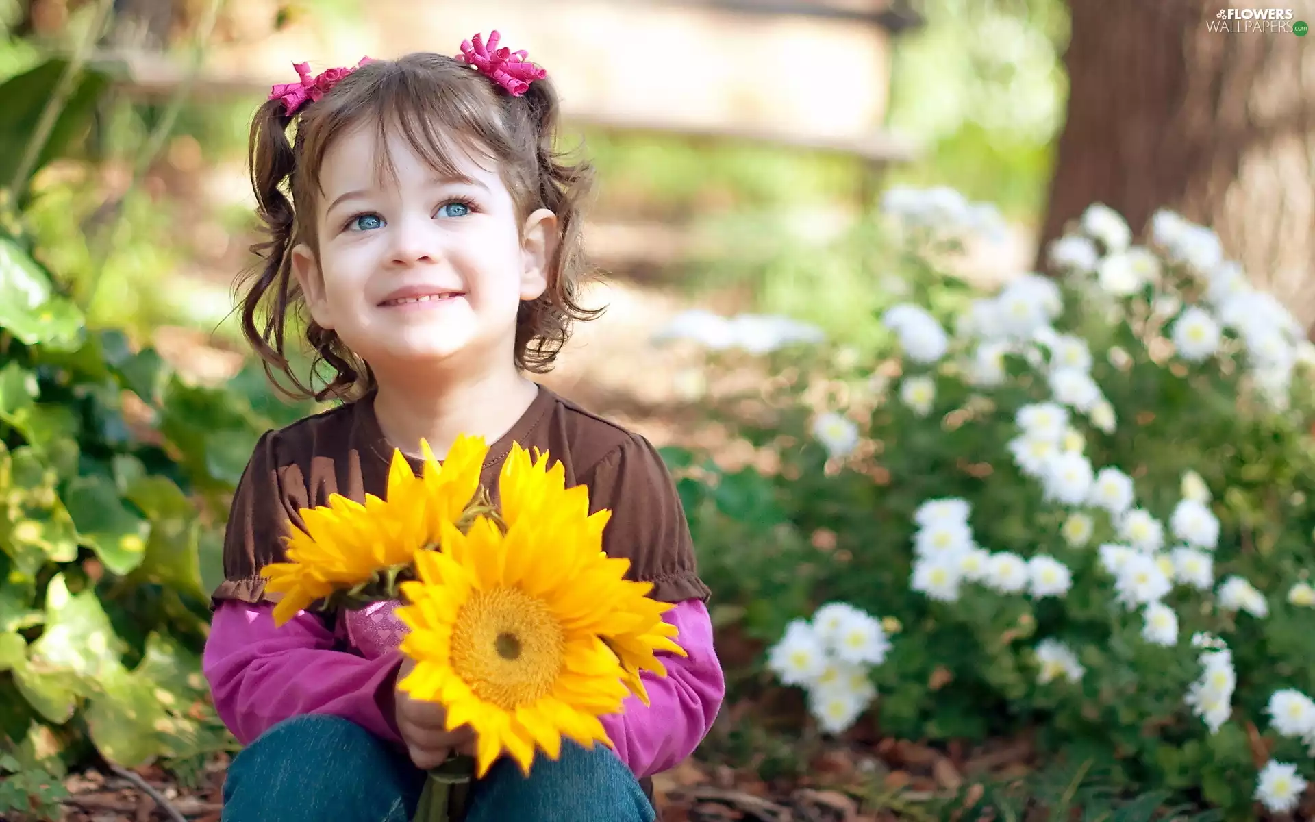 girl, Nice sunflowers