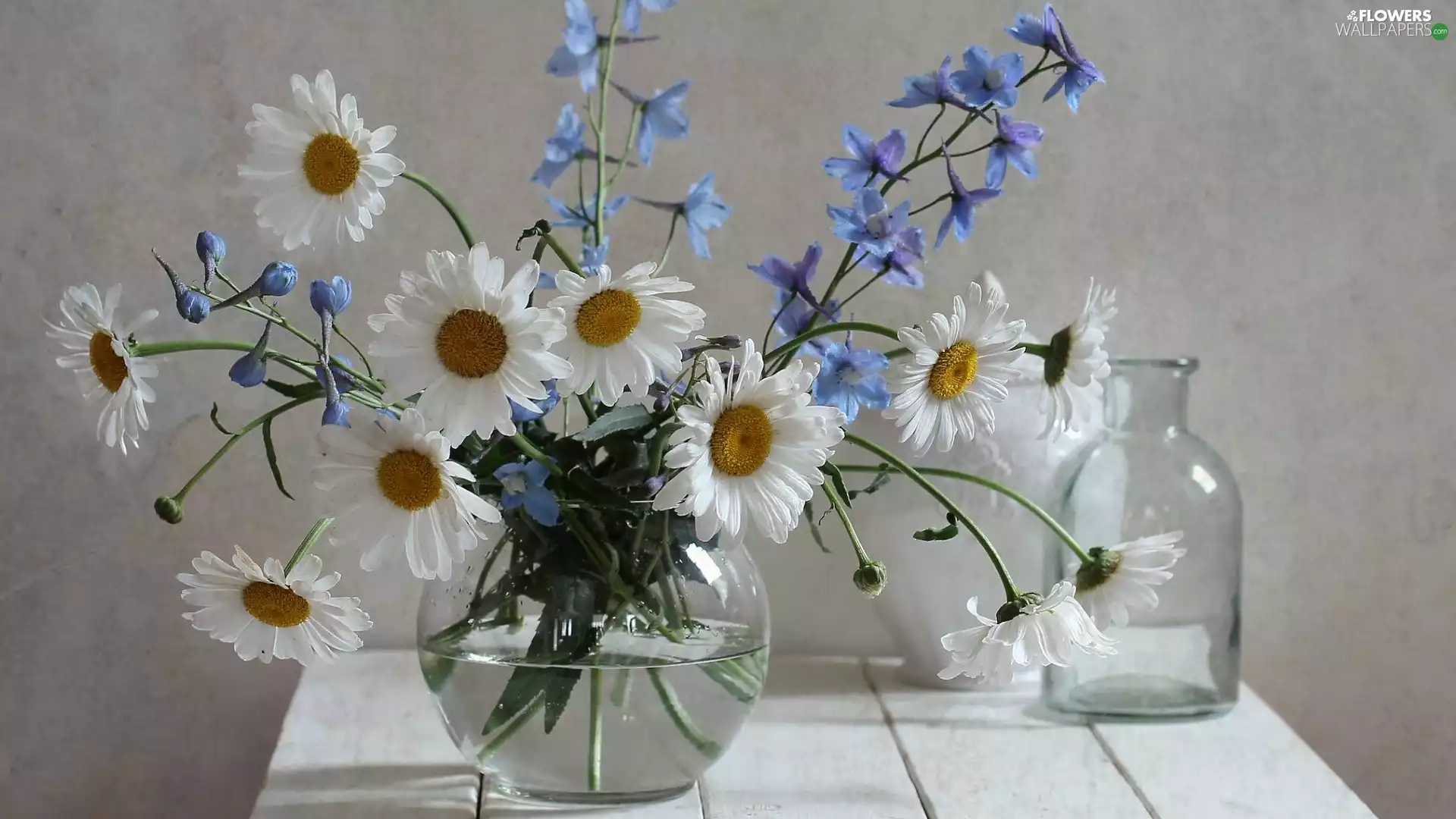 daisy, Blue, bouquet, table, Vase, Flowers