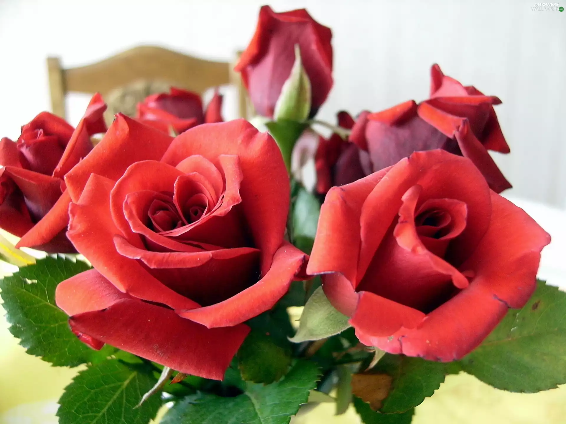 Table, bouquet, rose