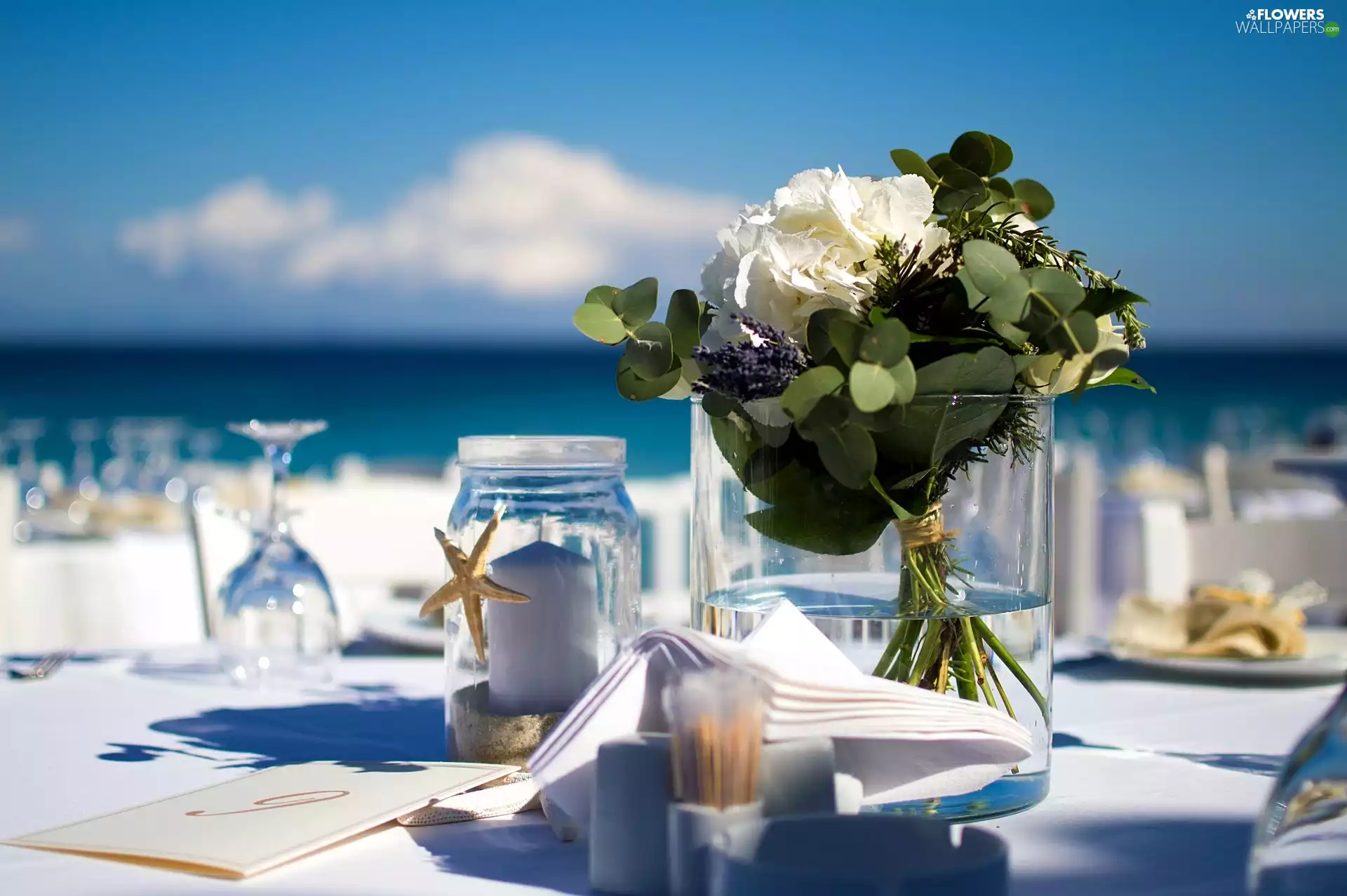 summer, sea, White Flowers, Table Decoration, bouquet