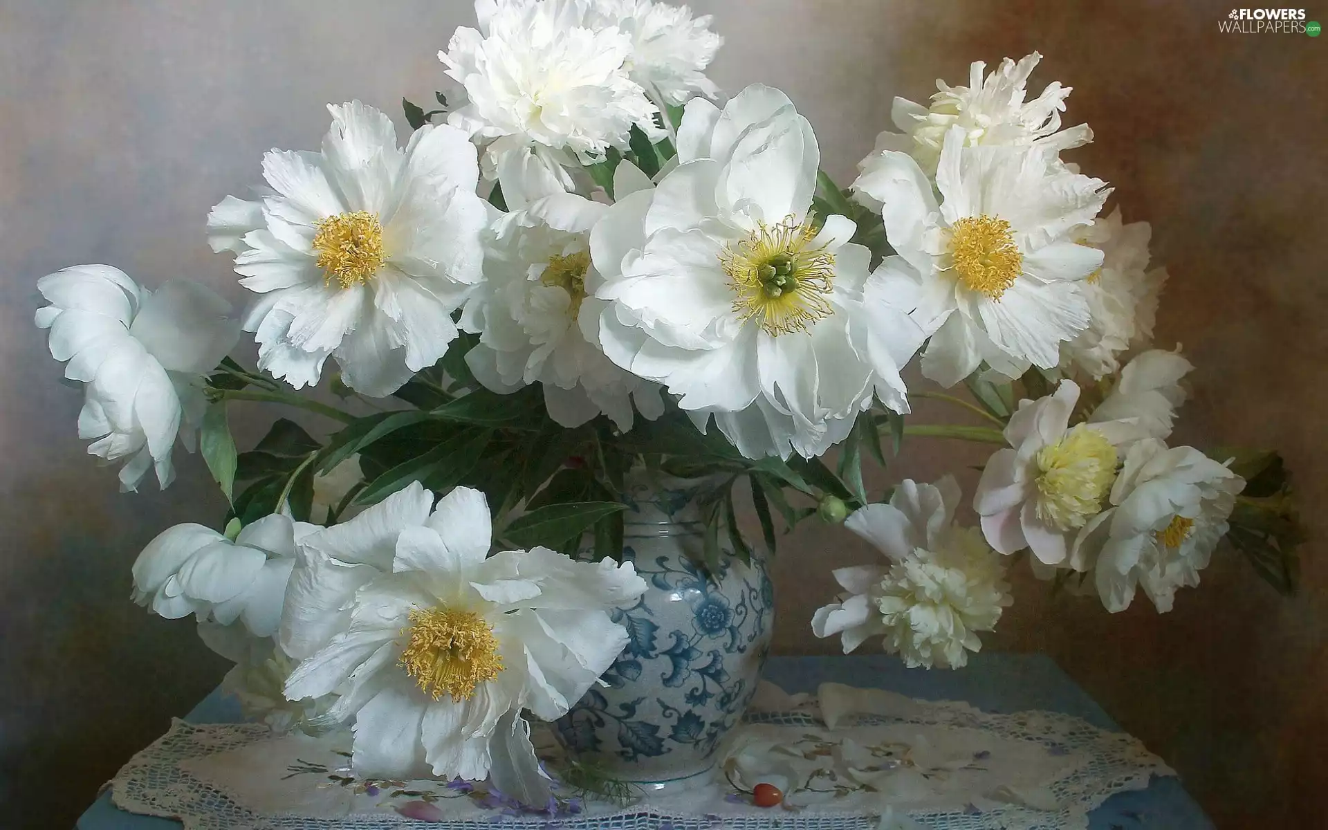 Peonies, Flowers, tablecloth, Table, Vase, White