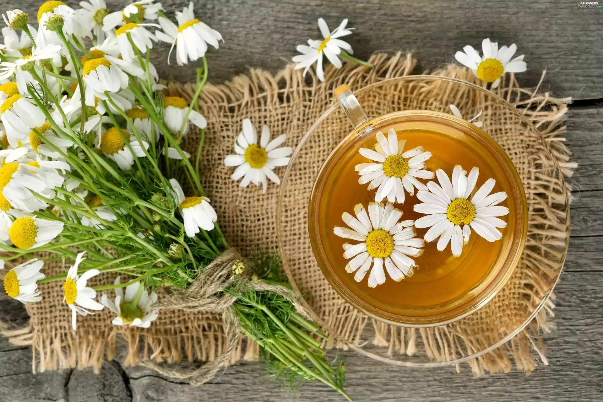 tea, Flowers, chamomile