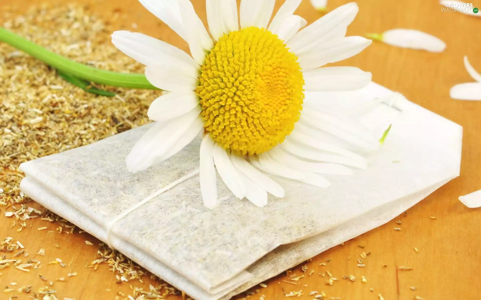 chamomile, tea