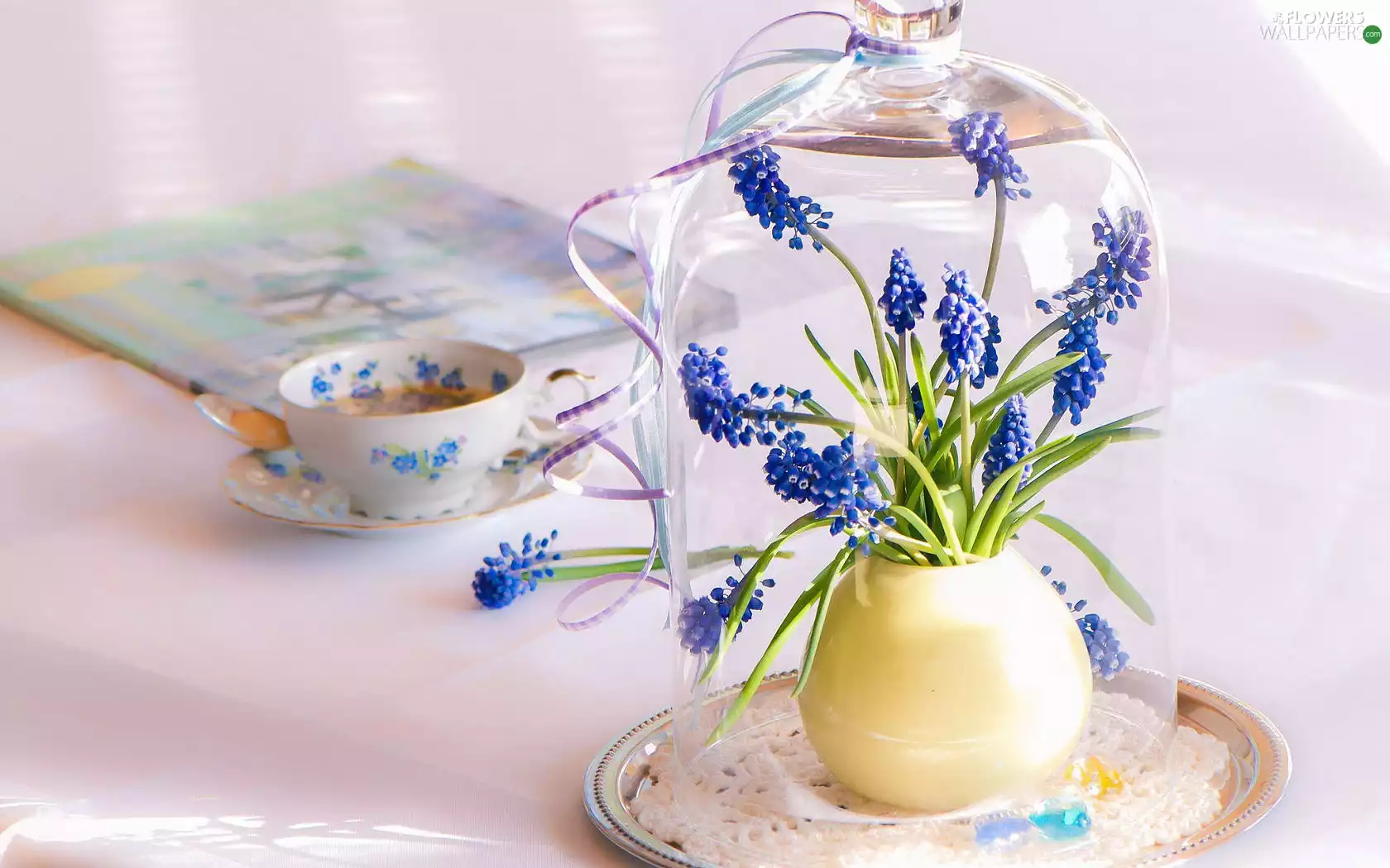 Muscari, tea, cup, small bunch