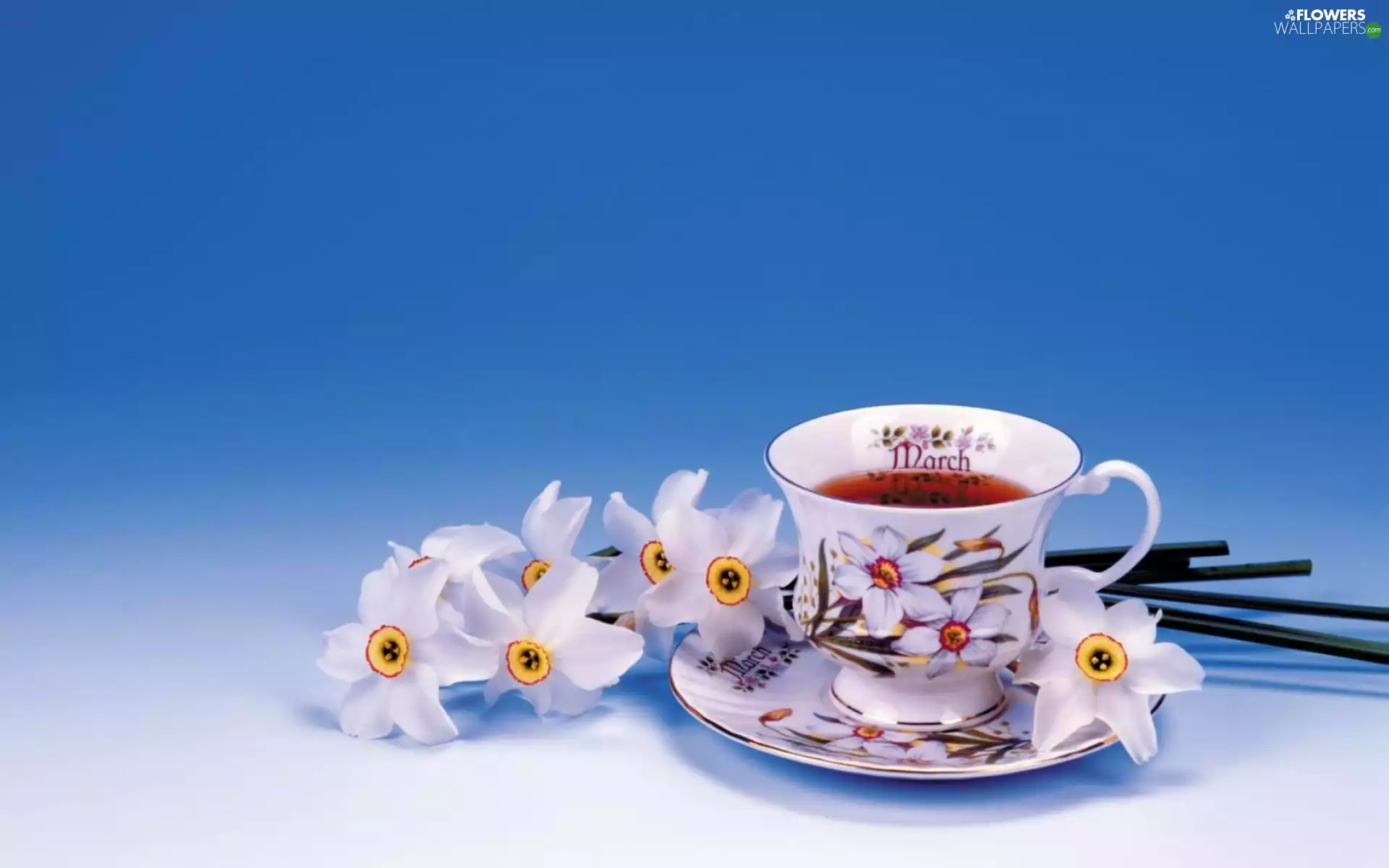 tea, narcissus, cup